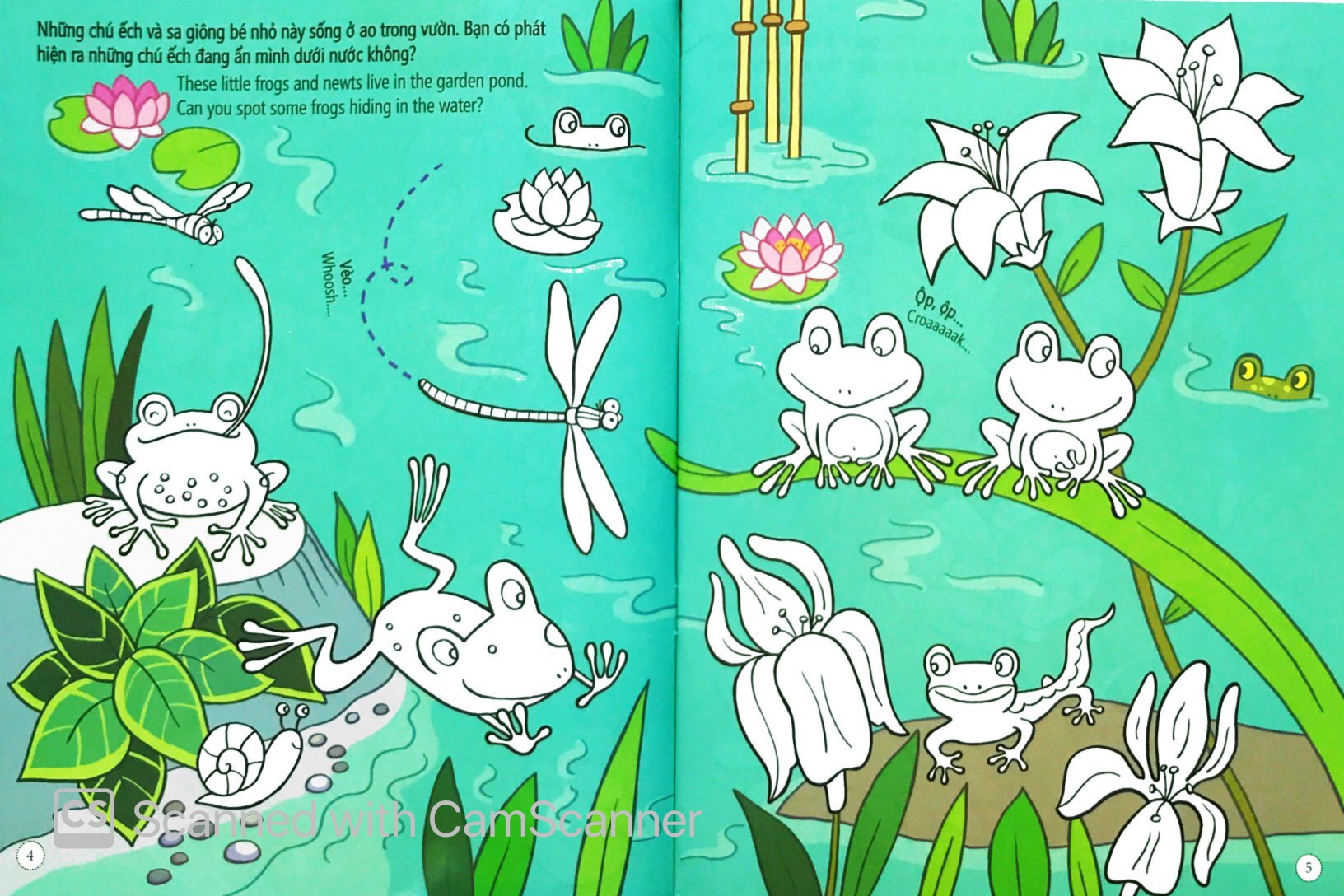 tô màu bóc dán - khu vườn - garden - Ảnh 3