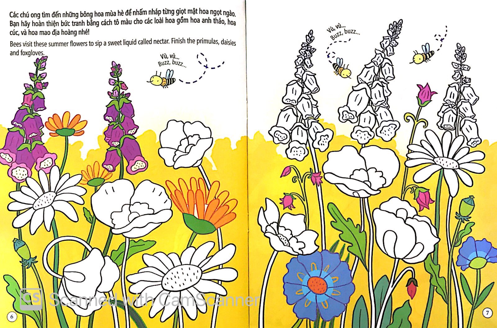 tô màu bóc dán - khu vườn - garden - Ảnh 4