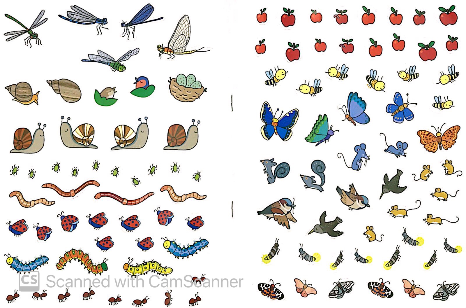 tô màu bóc dán - khu vườn - garden - Ảnh 5