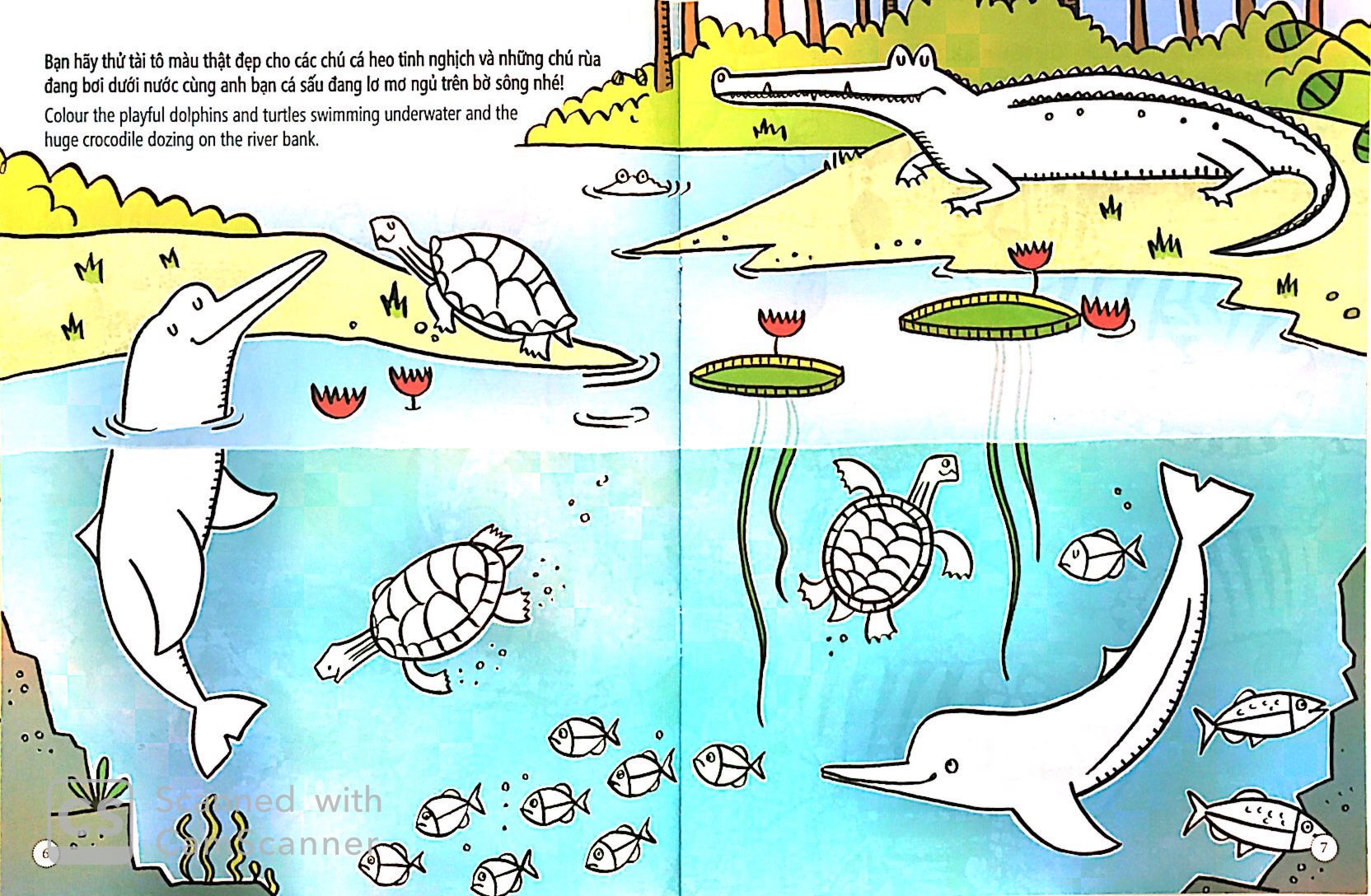 tô màu bóc dán - rừng nhiệt đới - jungle - Ảnh 4