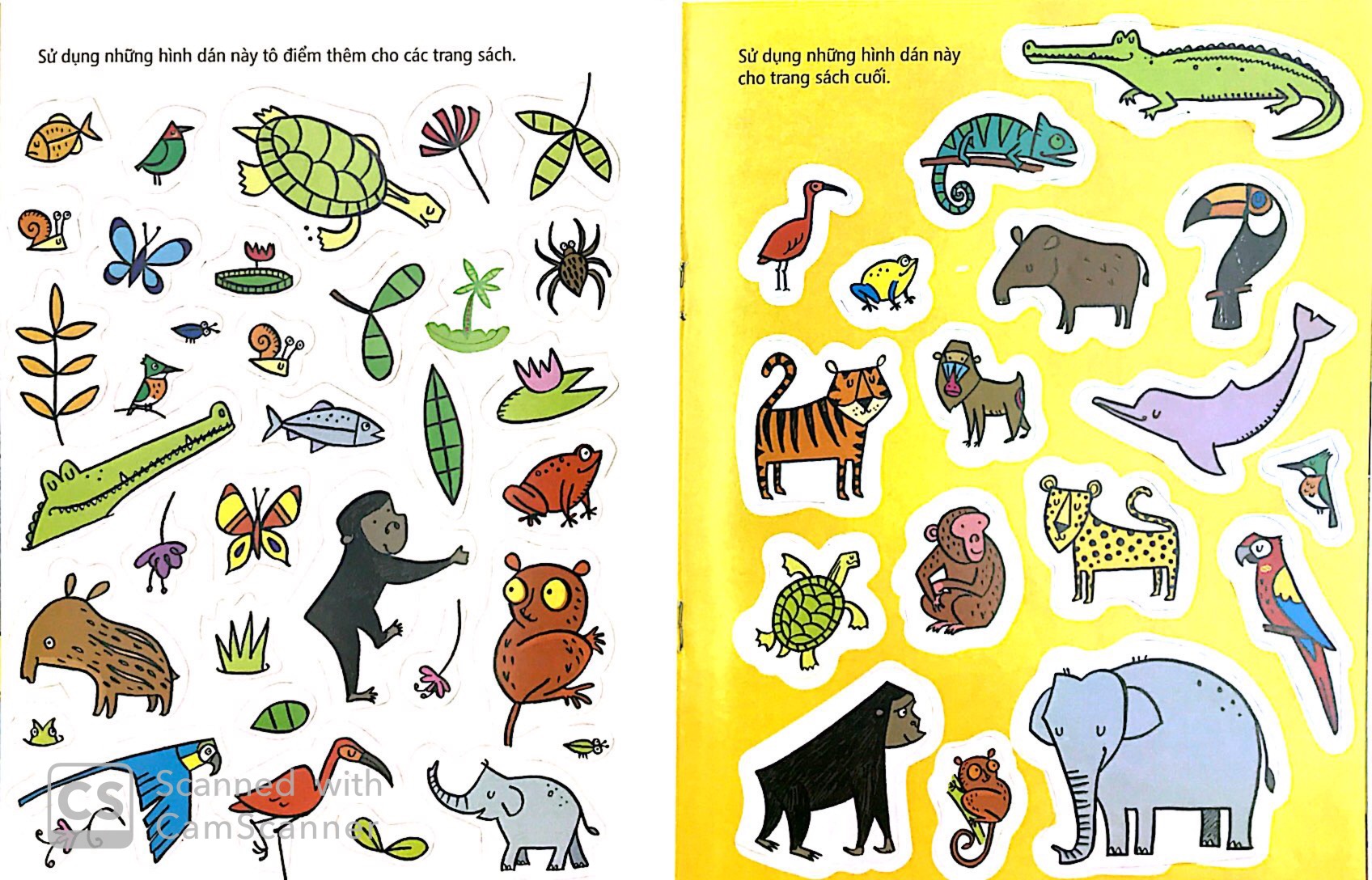 tô màu bóc dán - rừng nhiệt đới - jungle - Ảnh 5