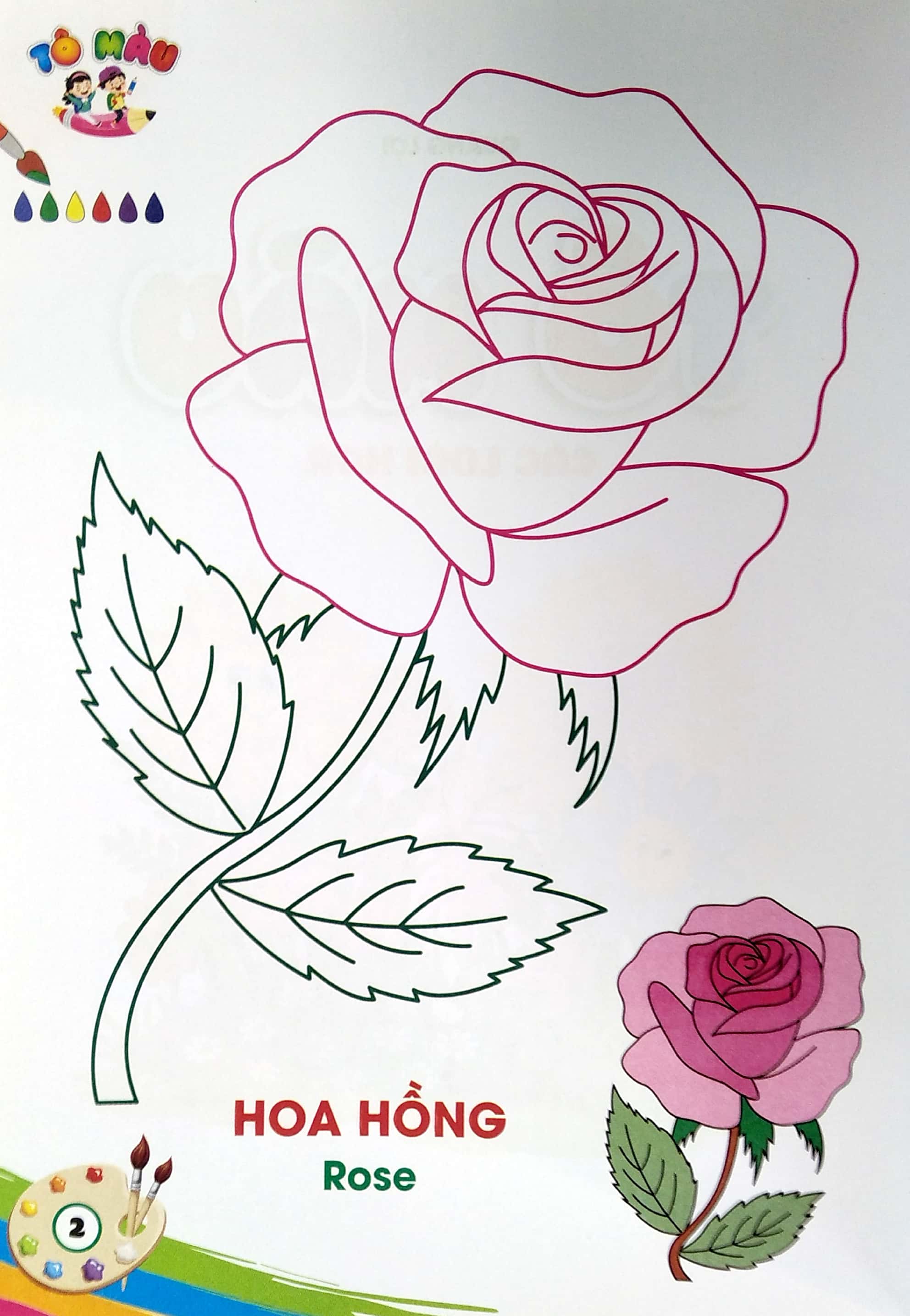 tô màu - các loài hoa - Ảnh 4