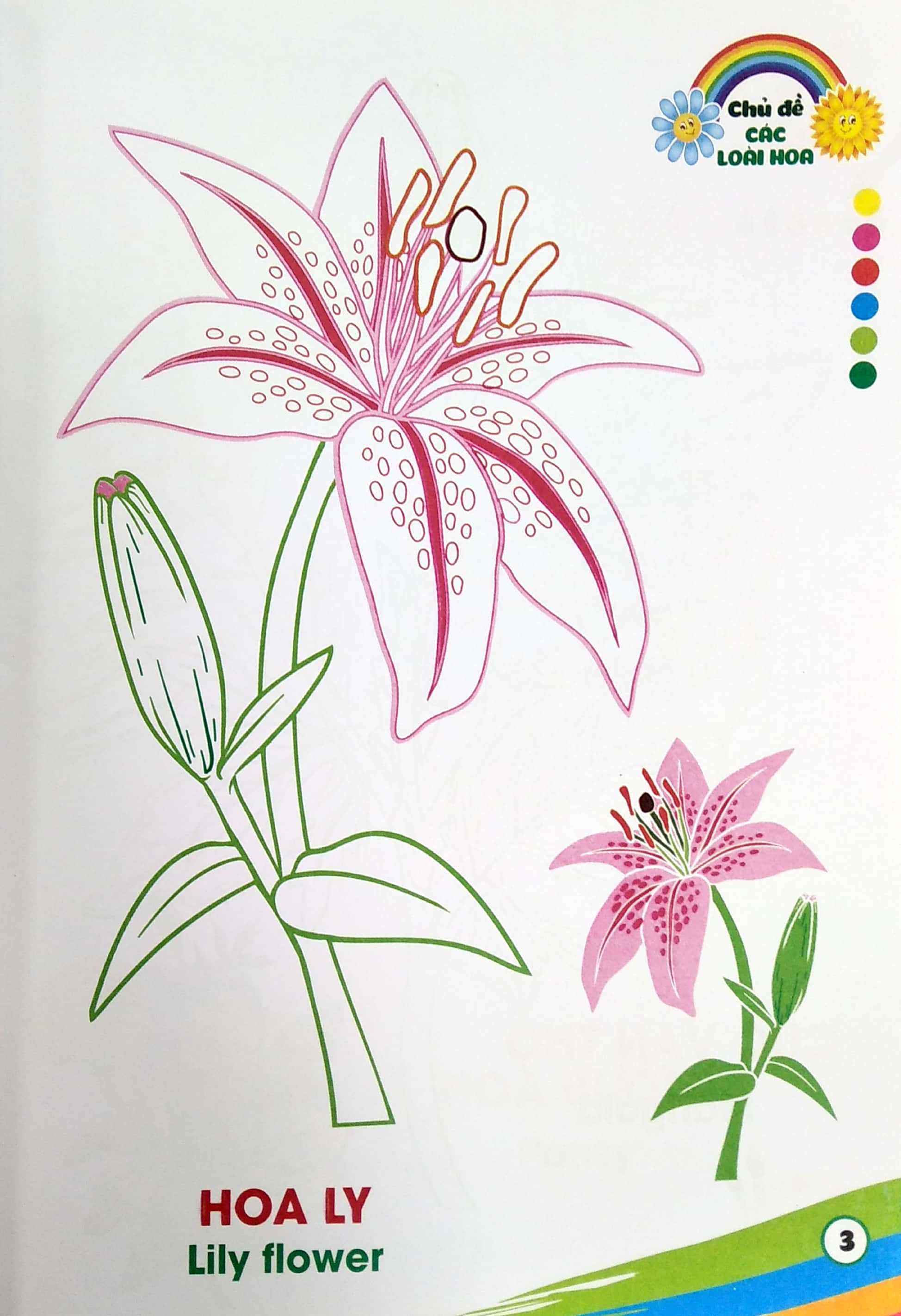 tô màu - các loài hoa - Ảnh 5