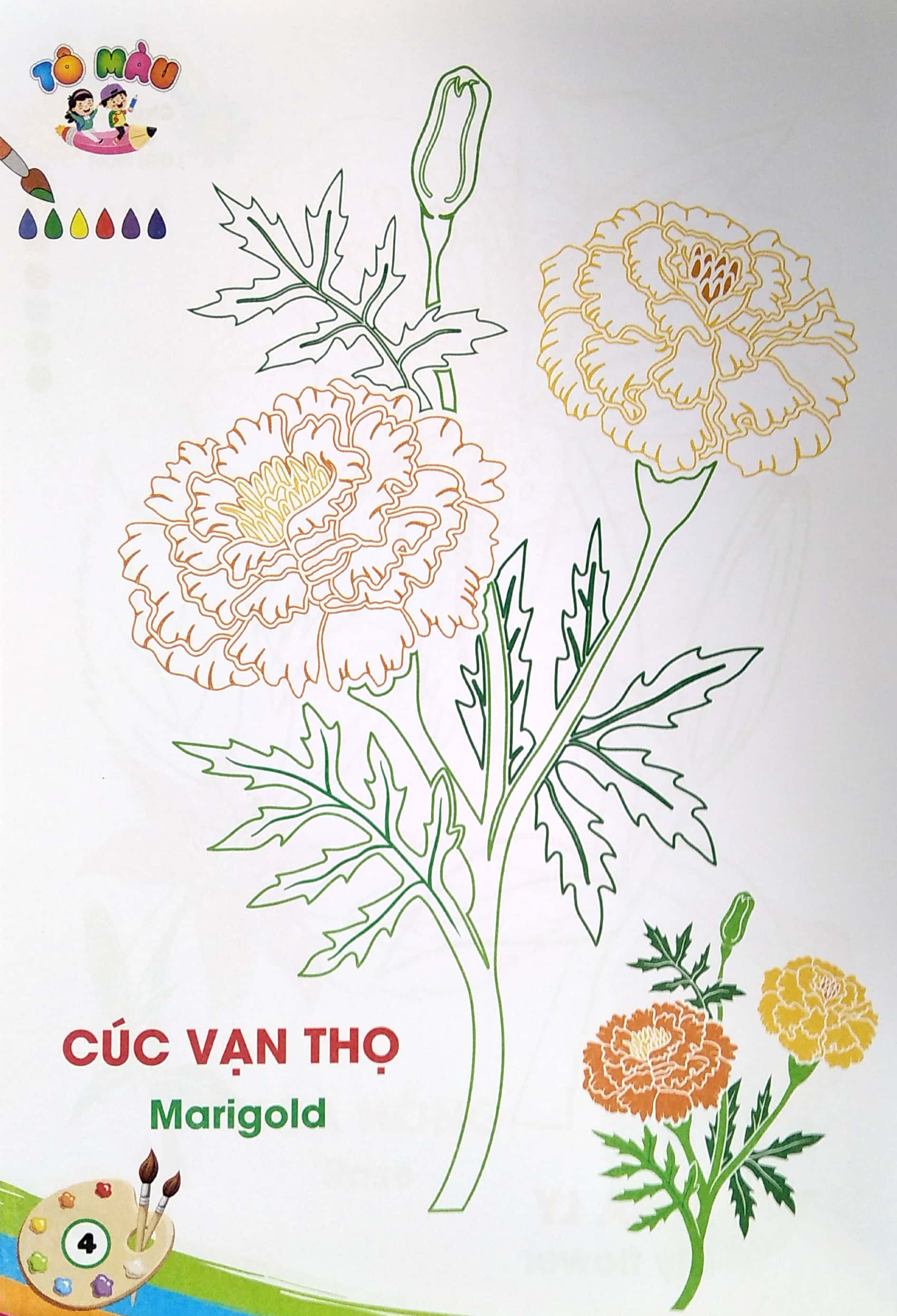 tô màu - các loài hoa - Ảnh 6