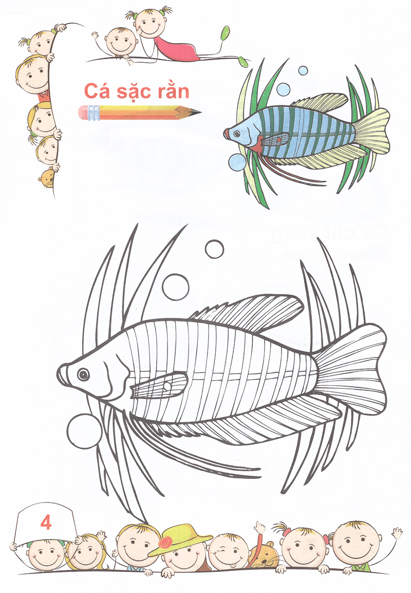 tô màu mẫu giáo các loài cá - Ảnh 5