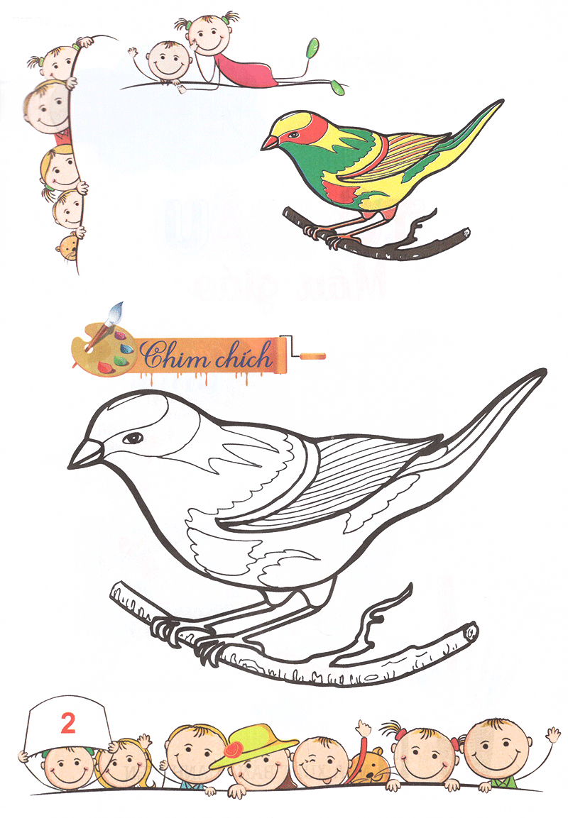 tô màu mẫu giáo - các loài chim (tái bản 2018) - Ảnh 3