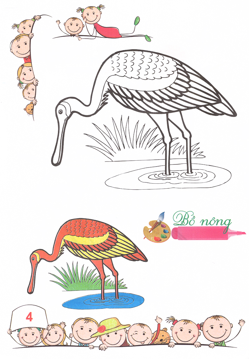 tô màu mẫu giáo - các loài chim (tái bản 2018) - Ảnh 5
