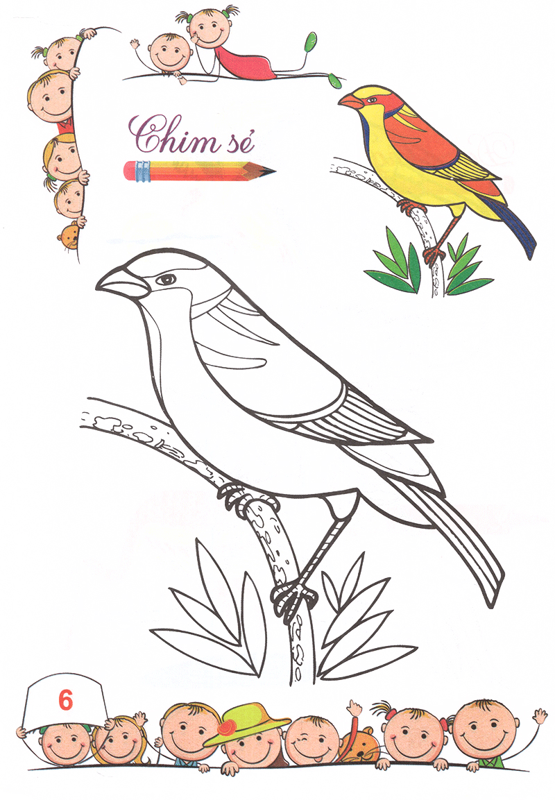 tô màu mẫu giáo - các loài chim (tái bản 2018) - Ảnh 7