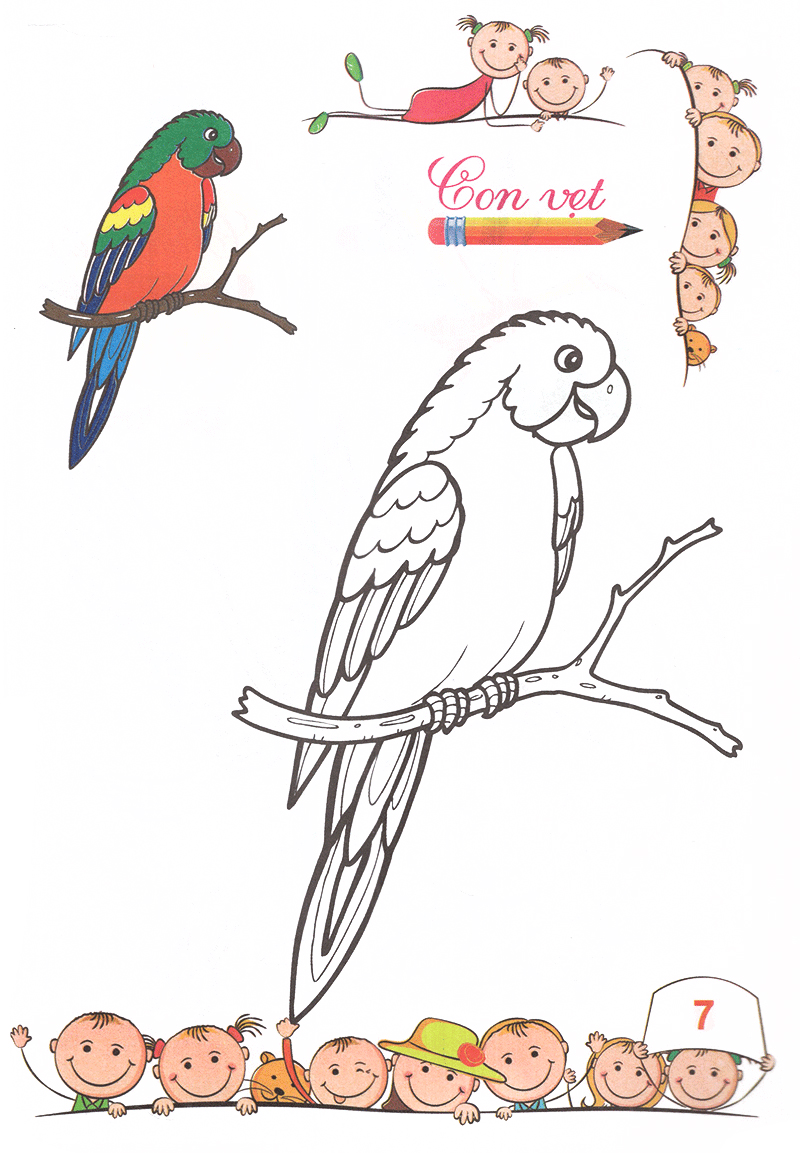 tô màu mẫu giáo - các loài chim (tái bản 2018) - Ảnh 8