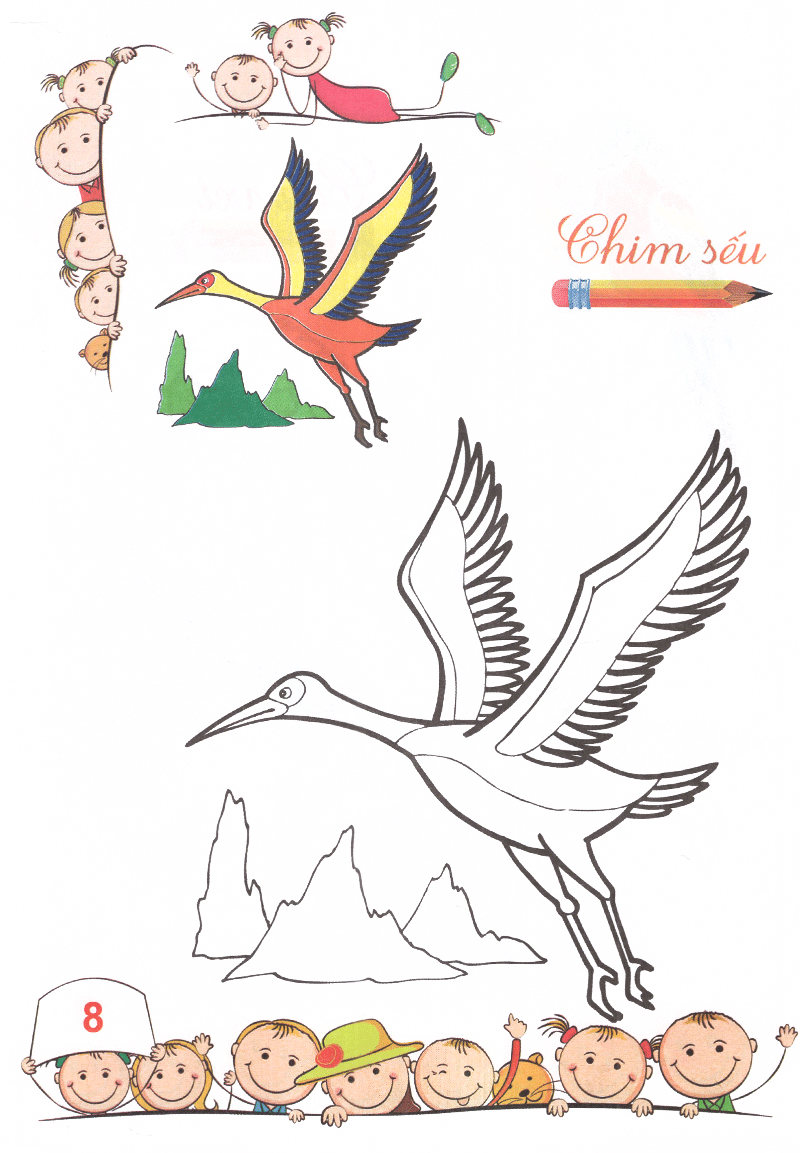 tô màu mẫu giáo - các loài chim (tái bản 2018) - Ảnh 9