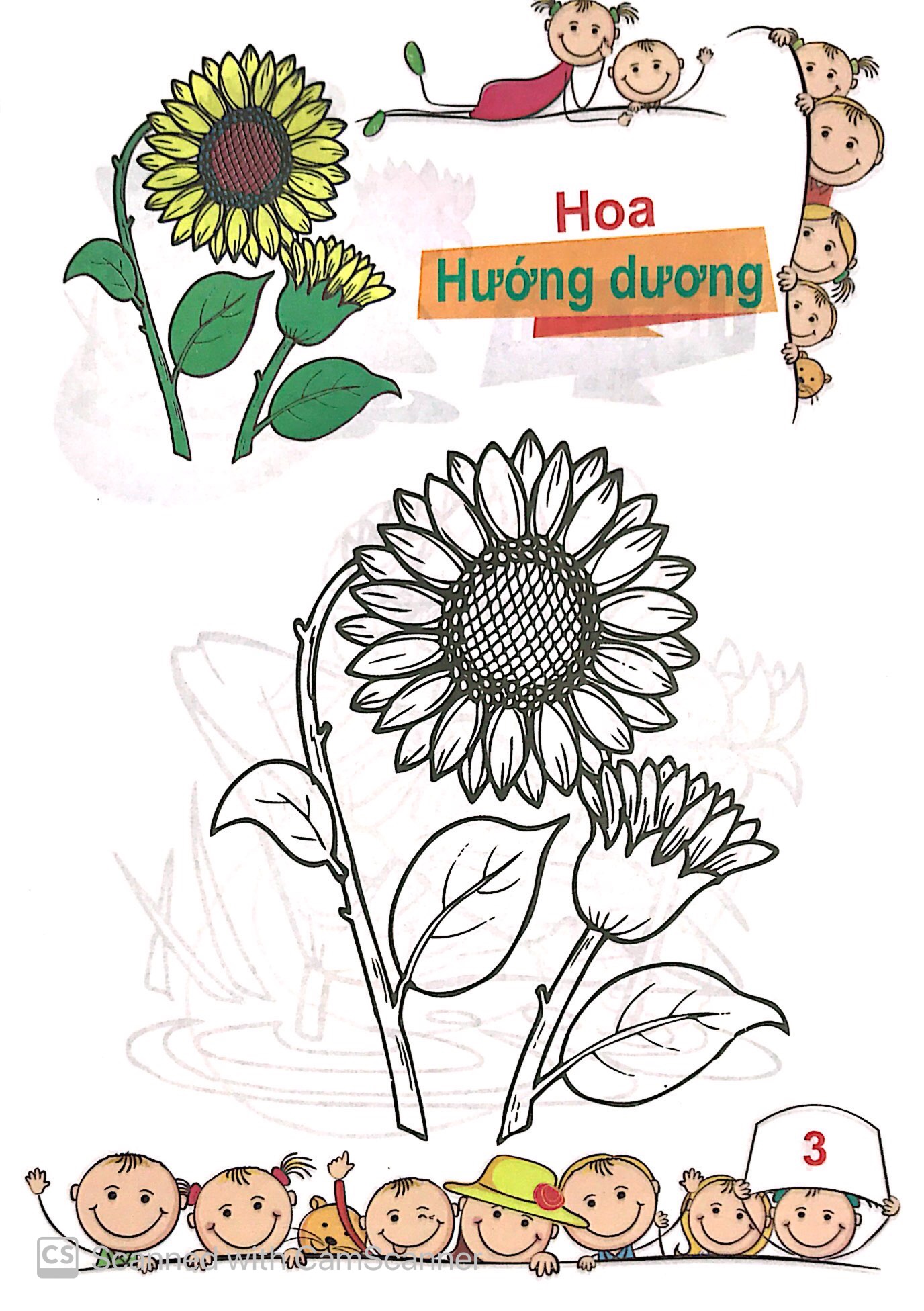 tô màu mẫu giáo - các loài hoa - Ảnh 4