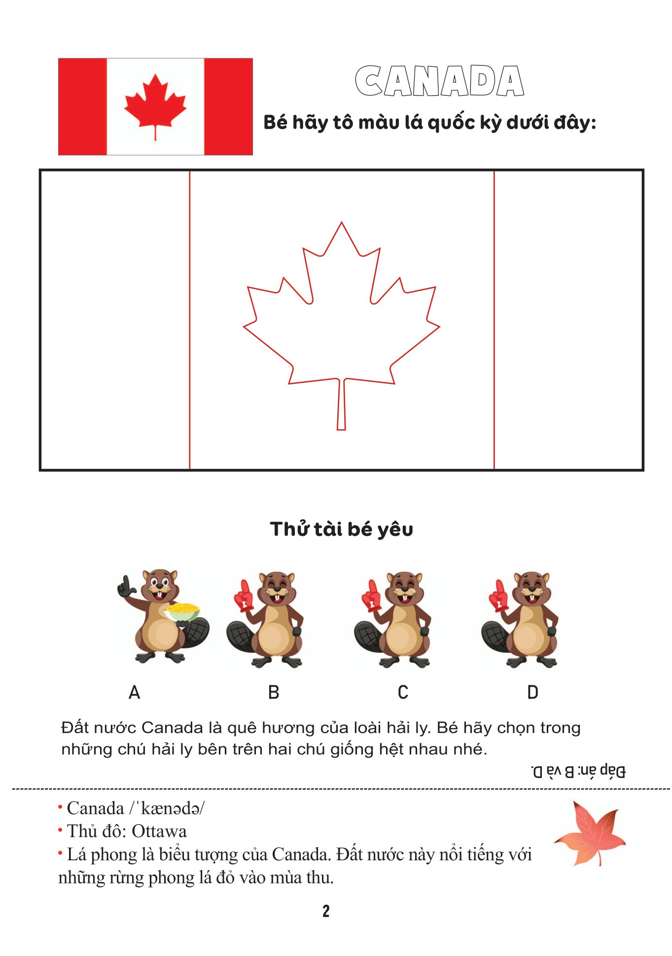 tô màu quốc kỳ - quốc kỳ châu mỹ - Ảnh 2