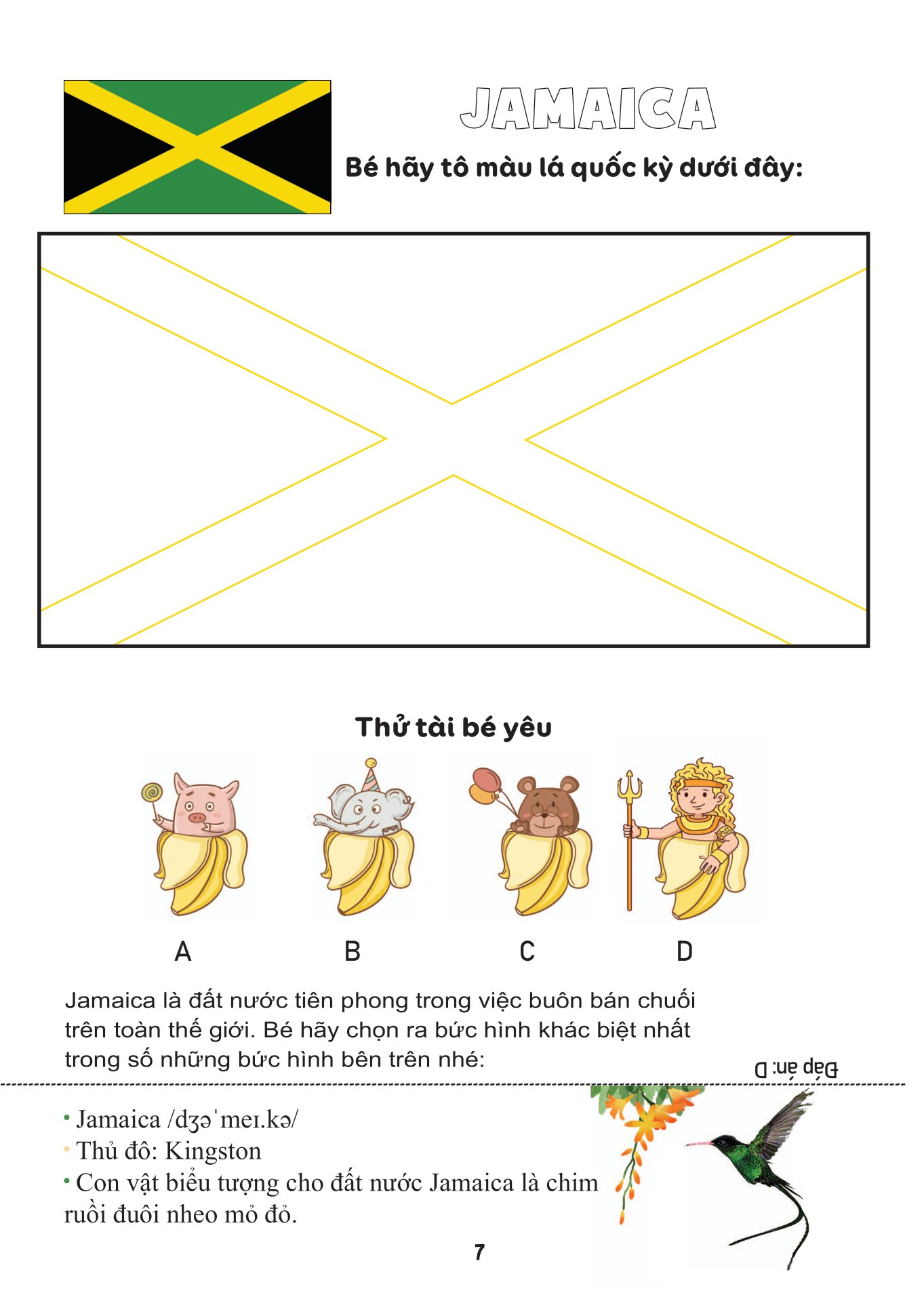 tô màu quốc kỳ - quốc kỳ châu mỹ - Ảnh 7