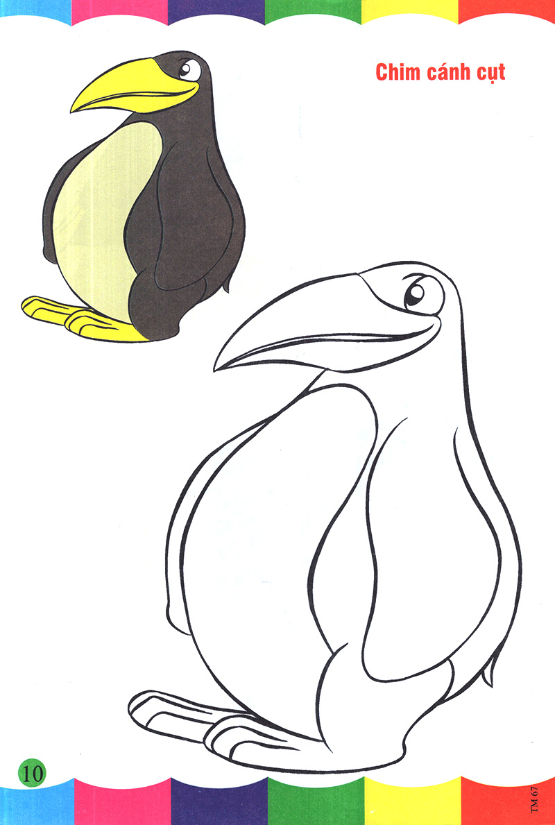tô màu thật thú vị - các loài chim - Ảnh 11