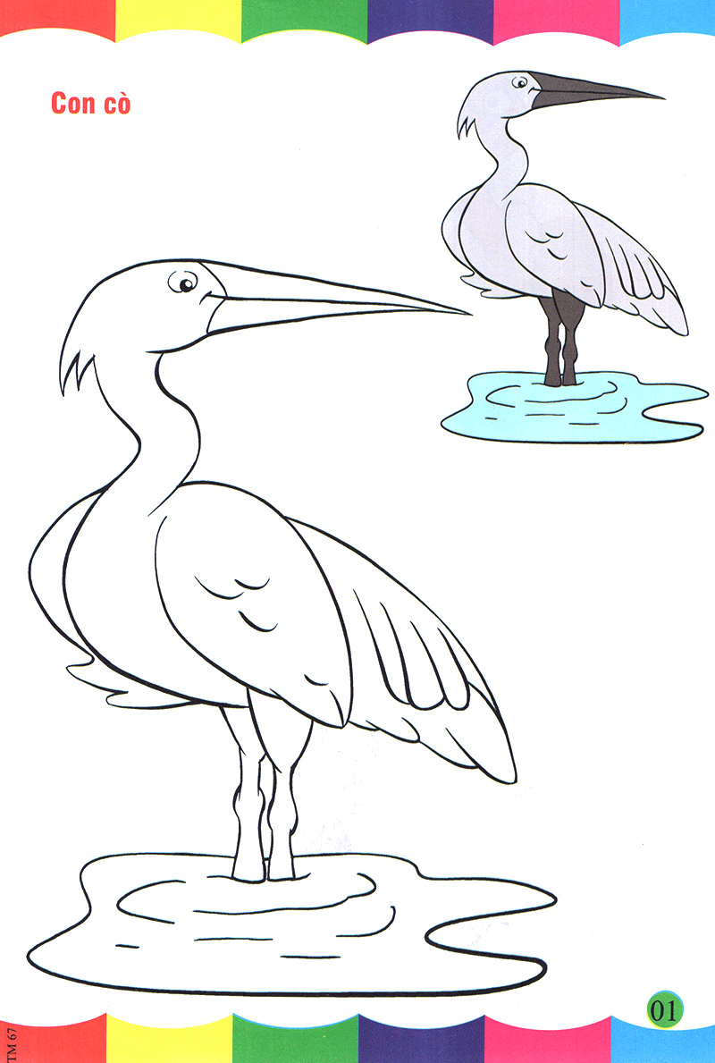 tô màu thật thú vị - các loài chim - Ảnh 2