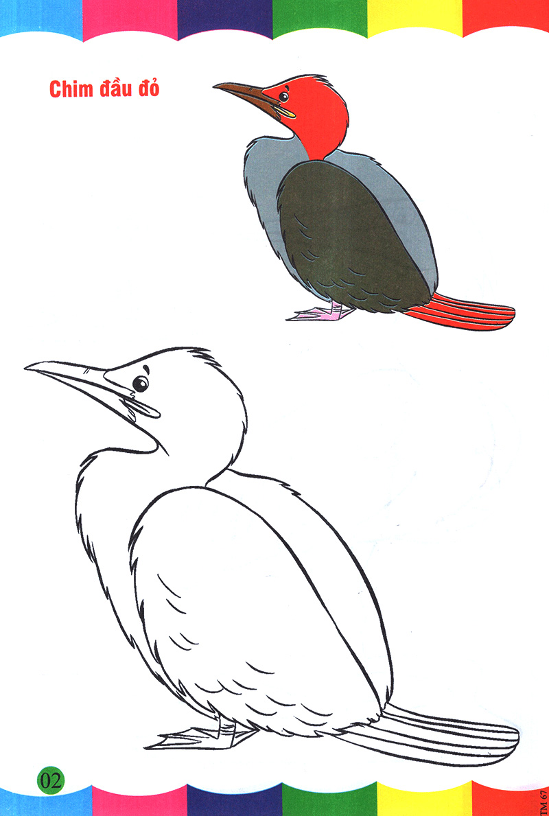 tô màu thật thú vị - các loài chim - Ảnh 3