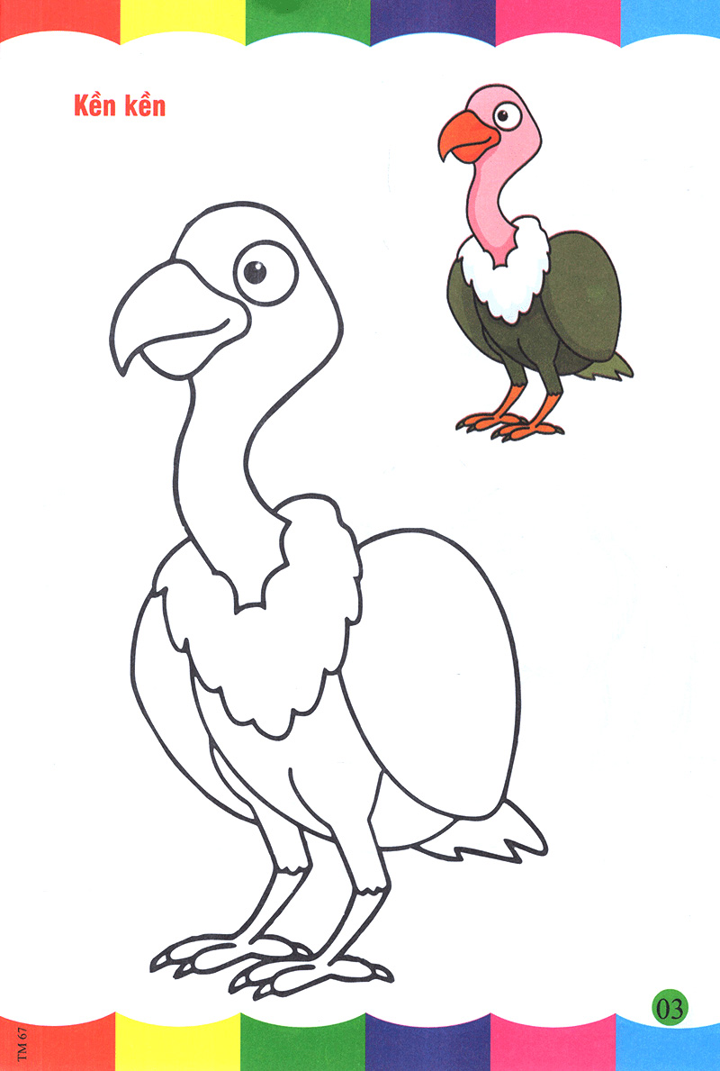 tô màu thật thú vị - các loài chim - Ảnh 4