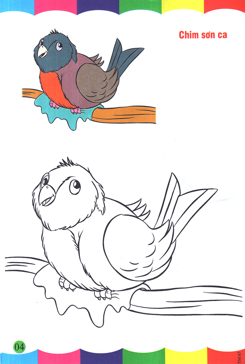 tô màu thật thú vị - các loài chim - Ảnh 5