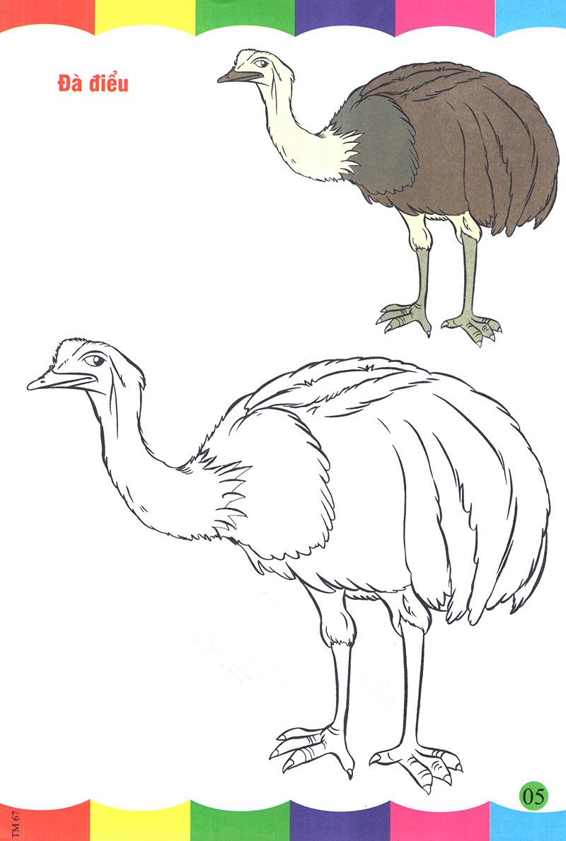 tô màu thật thú vị - các loài chim - Ảnh 6