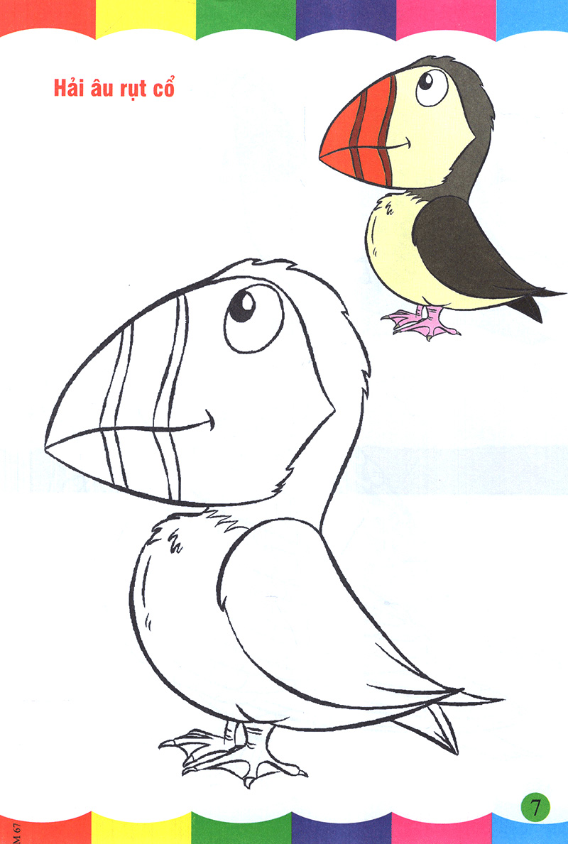 tô màu thật thú vị - các loài chim - Ảnh 8