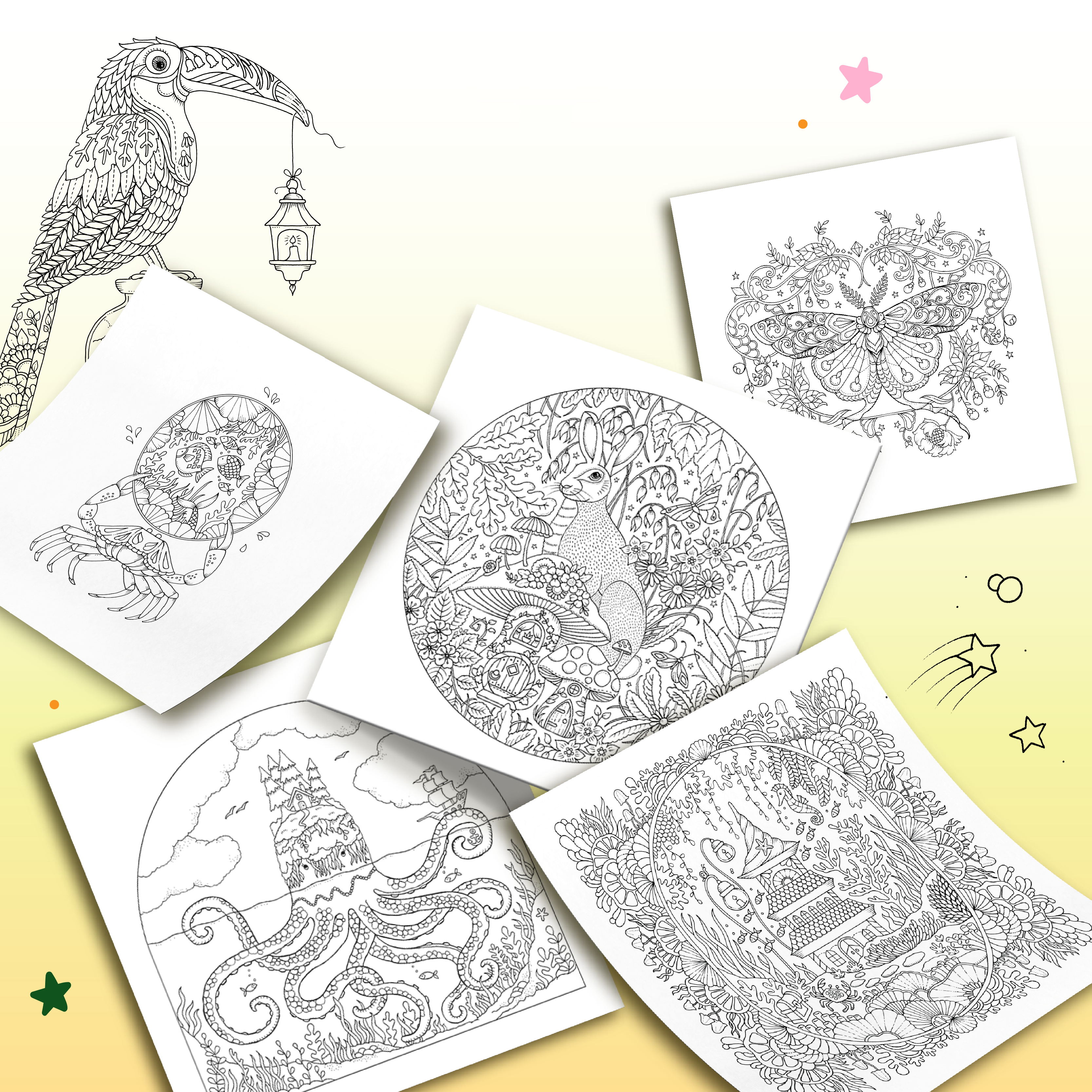 To Mau Xu So Dieu Ky - Magical World - Ảnh 4