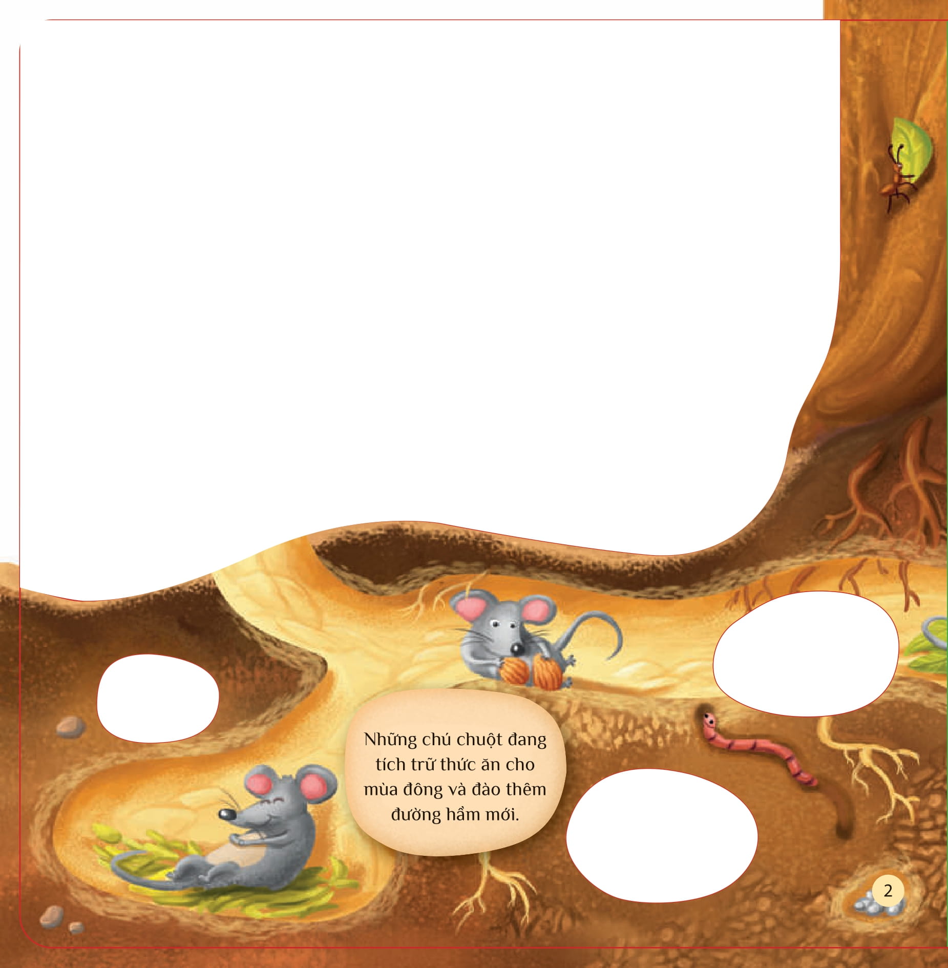 tò mò muốn biết… dưới lòng đất - Ảnh 2