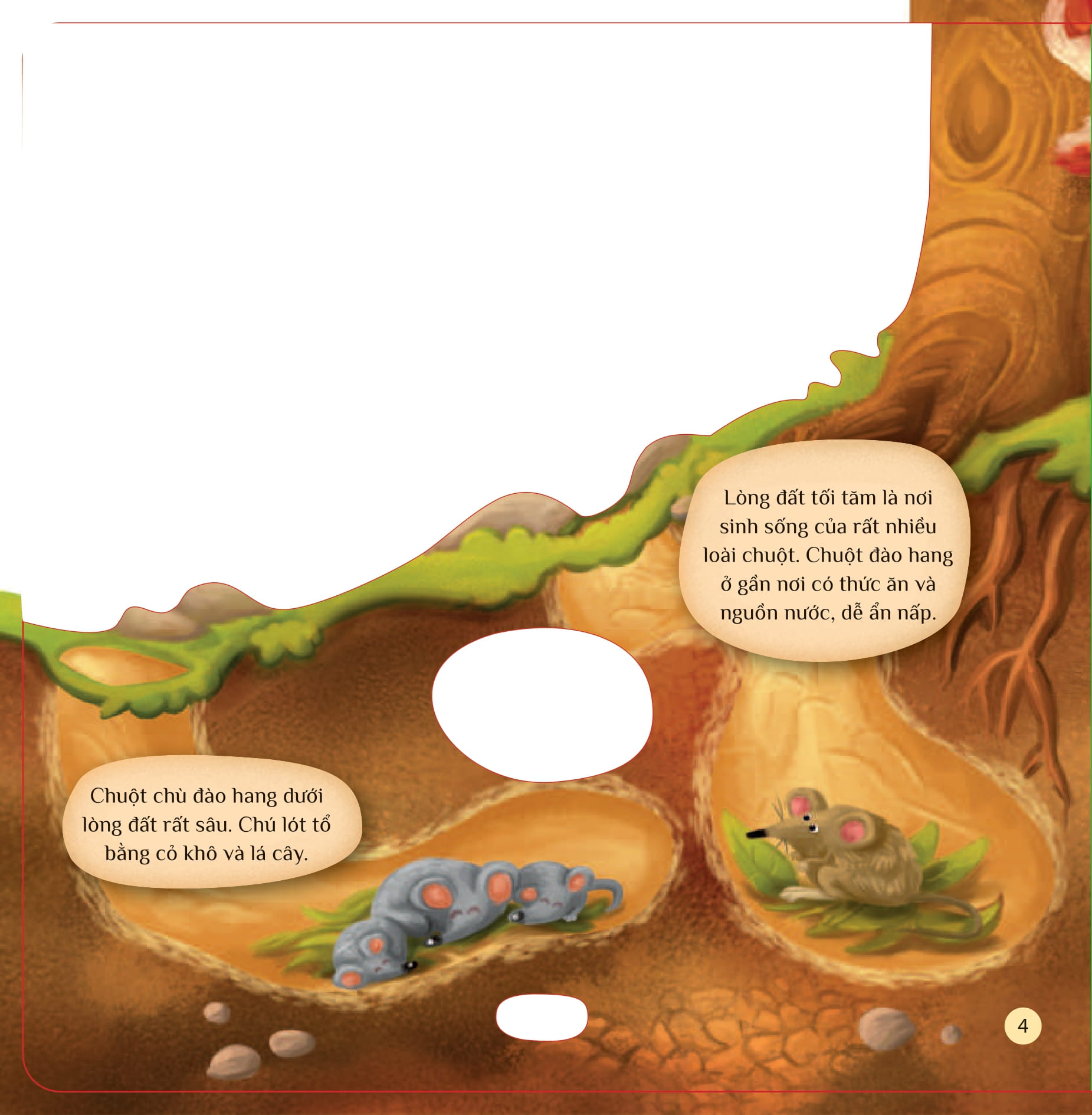 tò mò muốn biết… dưới lòng đất - Ảnh 4