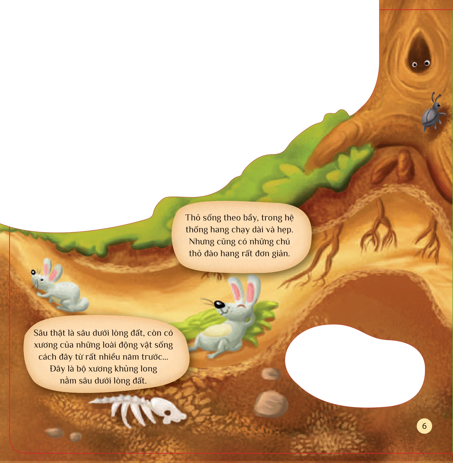 tò mò muốn biết… dưới lòng đất - Ảnh 6