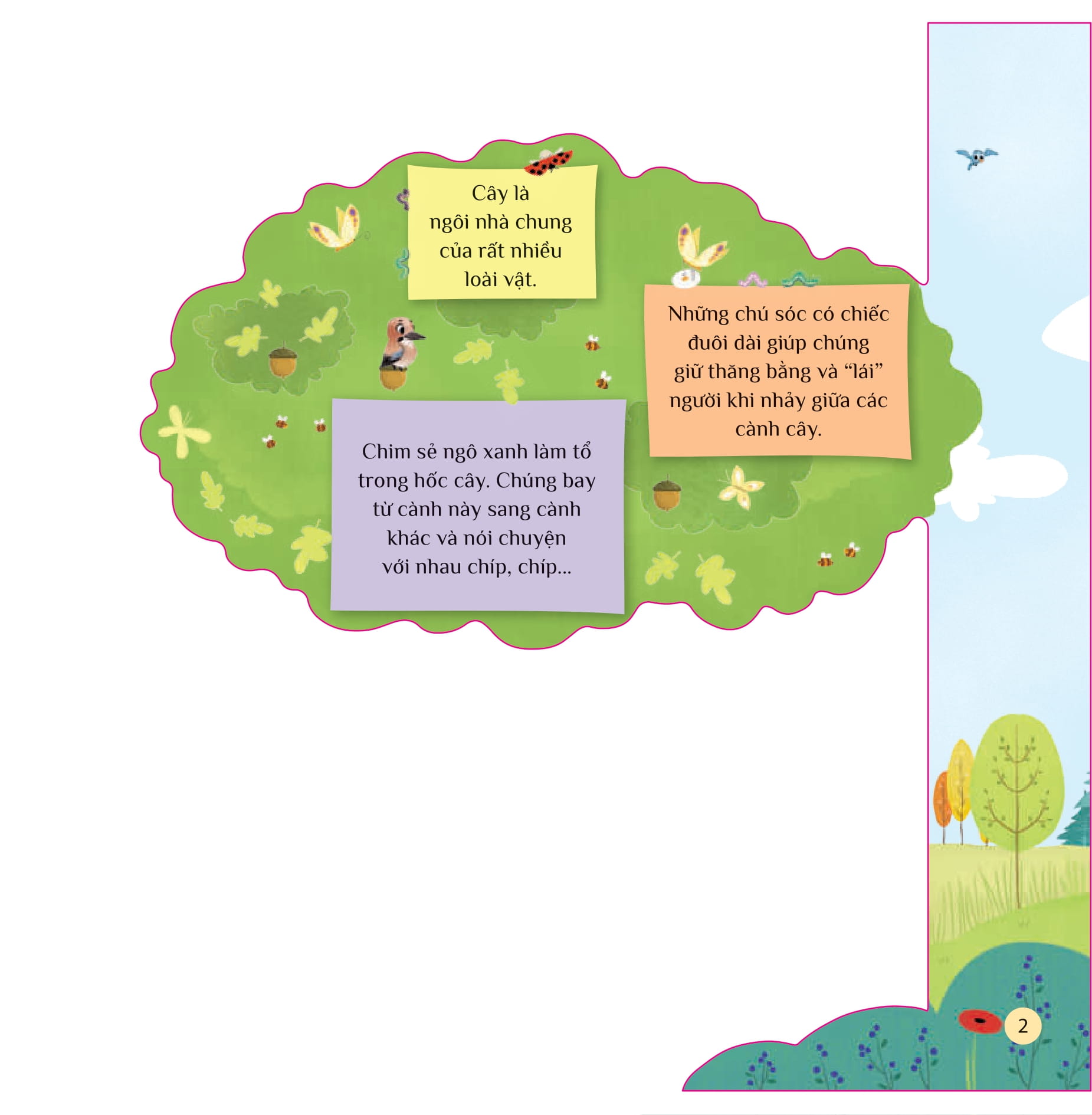 tò mò muốn biết… trên cây cao - Ảnh 2