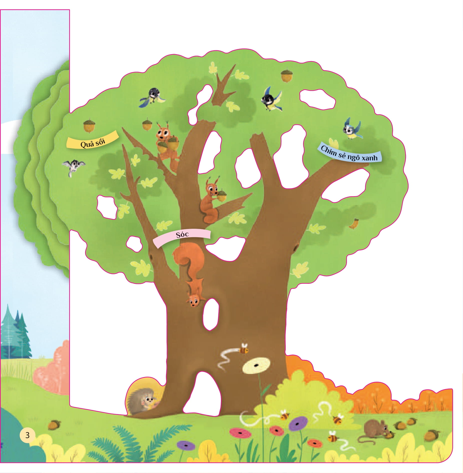 tò mò muốn biết… trên cây cao - Ảnh 3