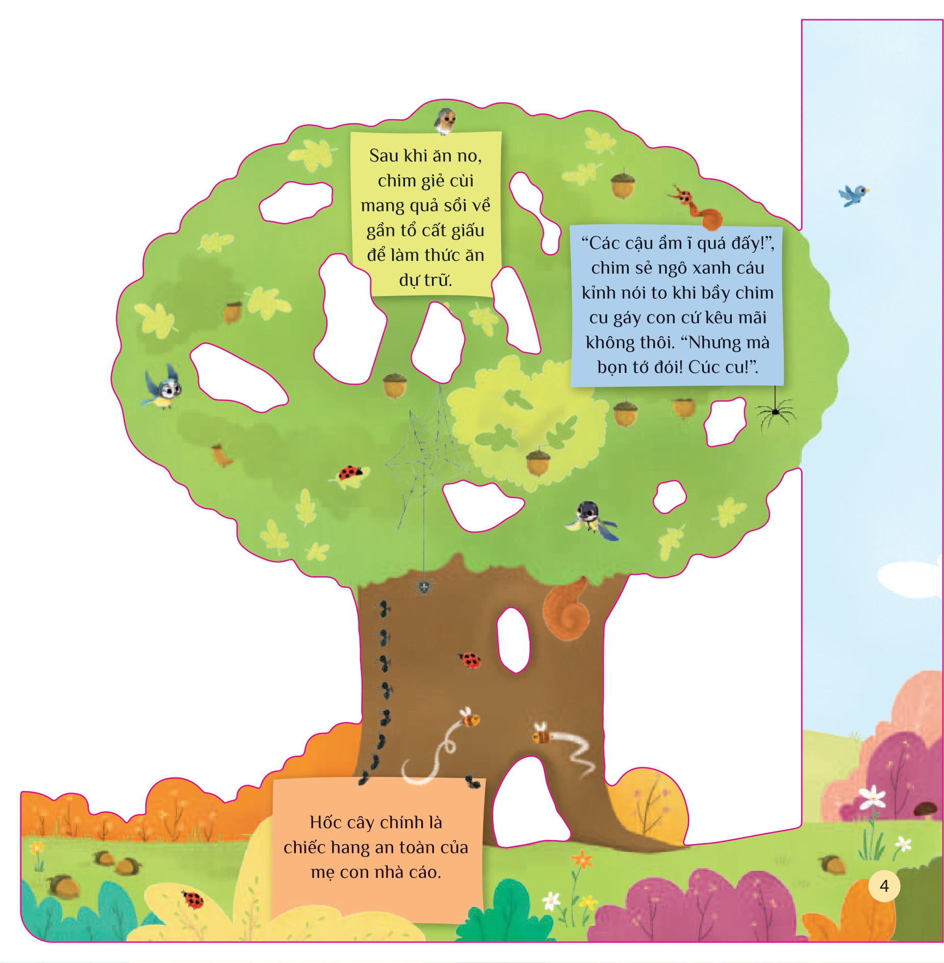 tò mò muốn biết… trên cây cao - Ảnh 4