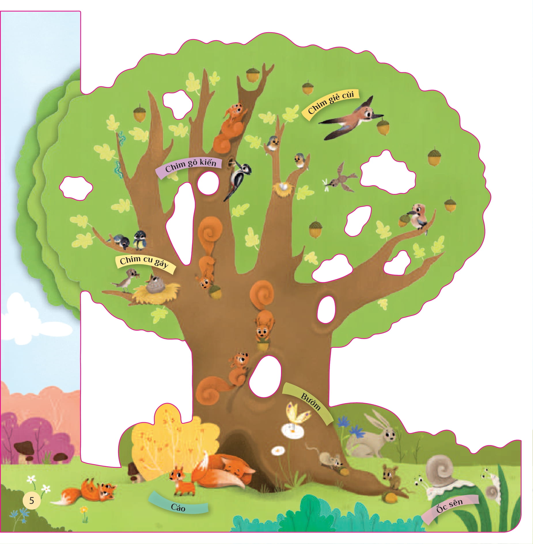 tò mò muốn biết… trên cây cao - Ảnh 5