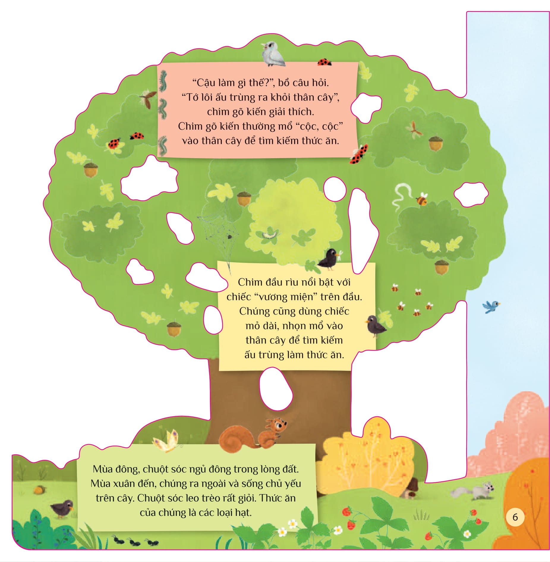 tò mò muốn biết… trên cây cao - Ảnh 6