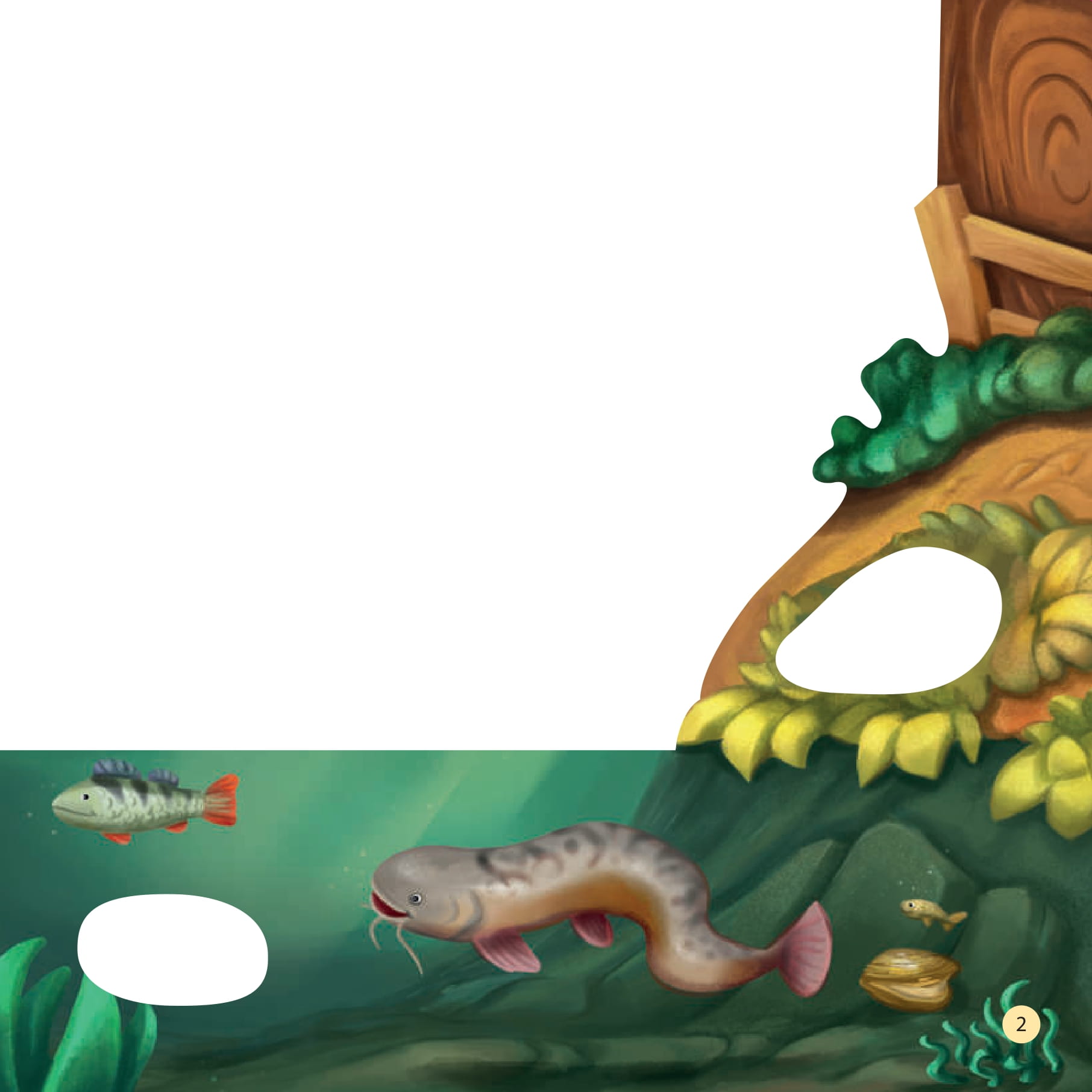 tò mò muốn biết… trên mặt nước - Ảnh 2