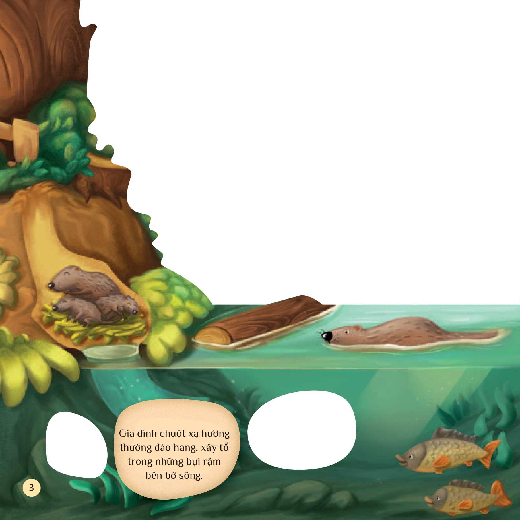 tò mò muốn biết… trên mặt nước - Ảnh 3