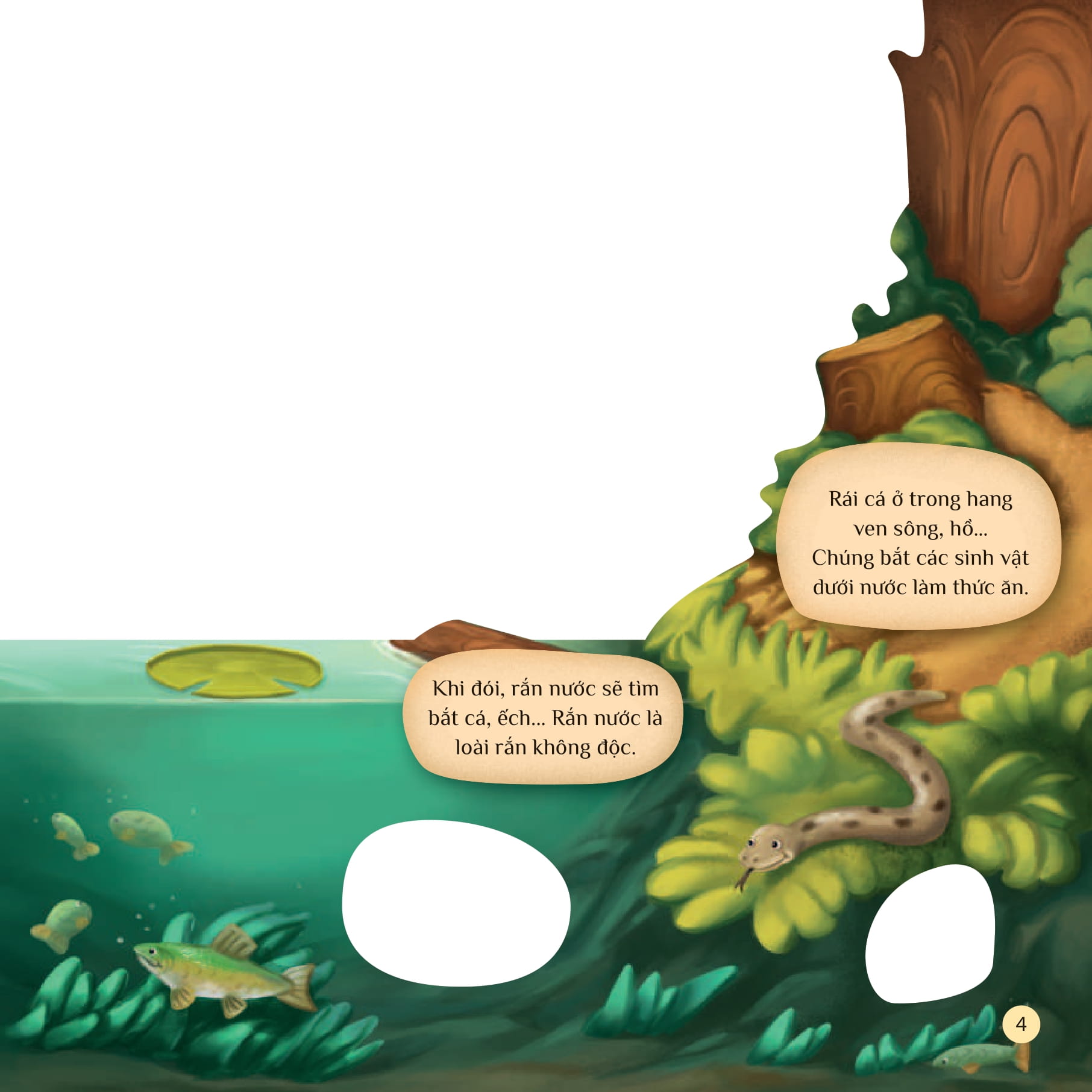 tò mò muốn biết… trên mặt nước - Ảnh 4