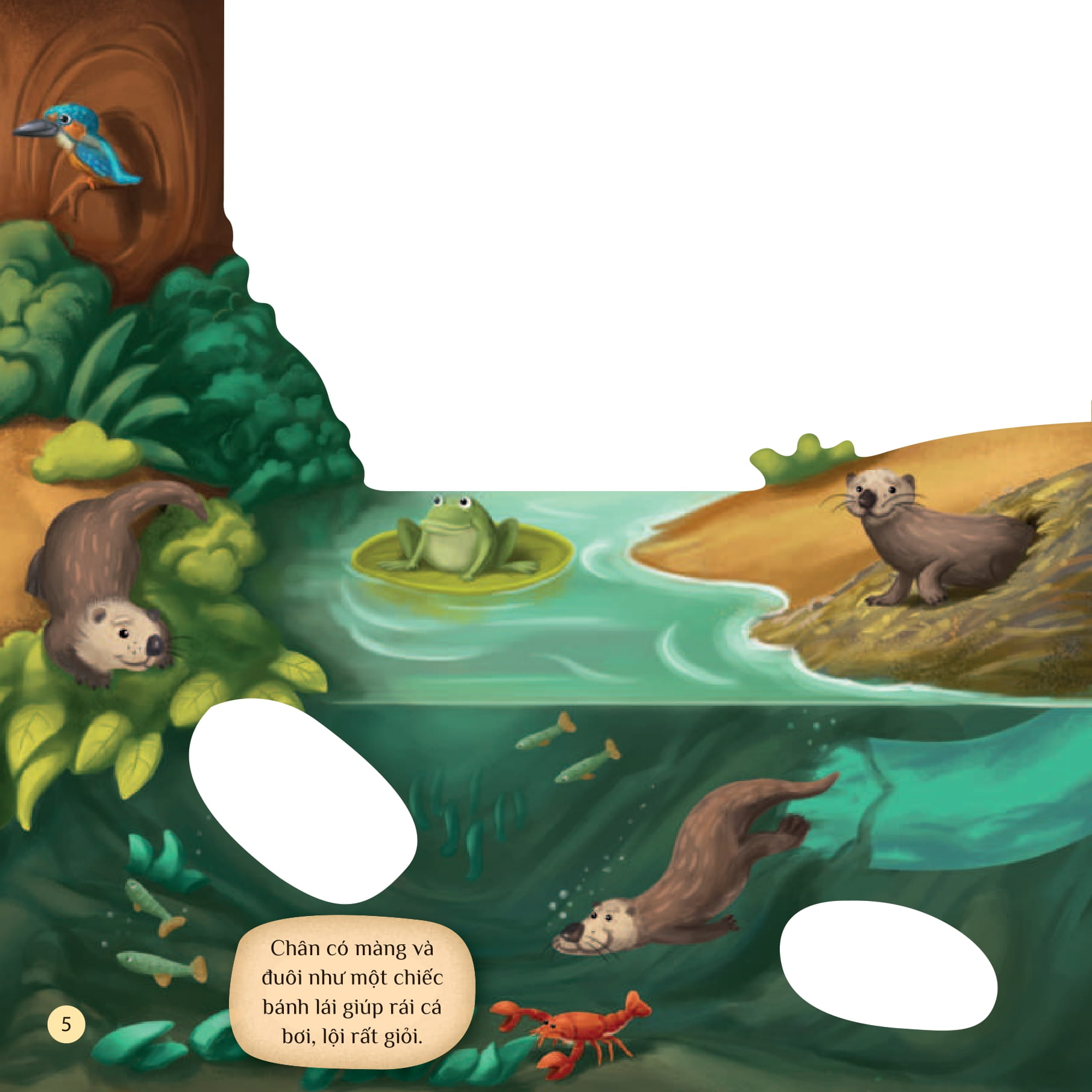 tò mò muốn biết… trên mặt nước - Ảnh 5