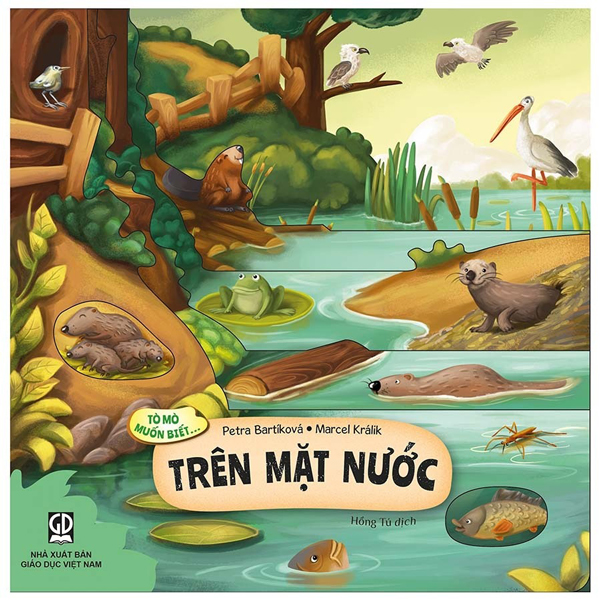 Tò Mò Muốn Biết... - Trên Thảo Nguyên - Bìa Cứng - Ảnh 7