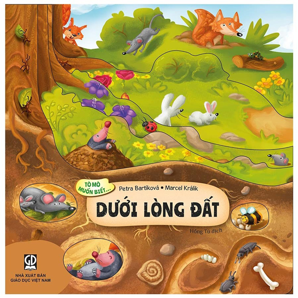 Tò Mò Muốn Biết... - Trên Thảo Nguyên - Bìa Cứng - Ảnh 9