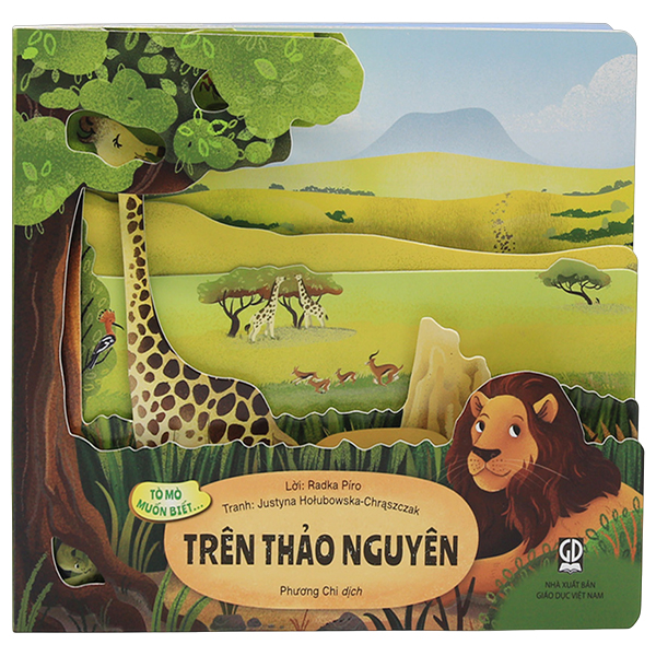 Tò Mò Muốn Biết... - Trong Bóng Đêm - Bìa Cứng - Ảnh 10