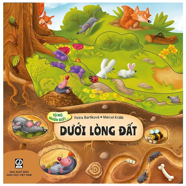 Tò Mò Muốn Biết... - Trong Bóng Đêm - Bìa Cứng - Ảnh 8