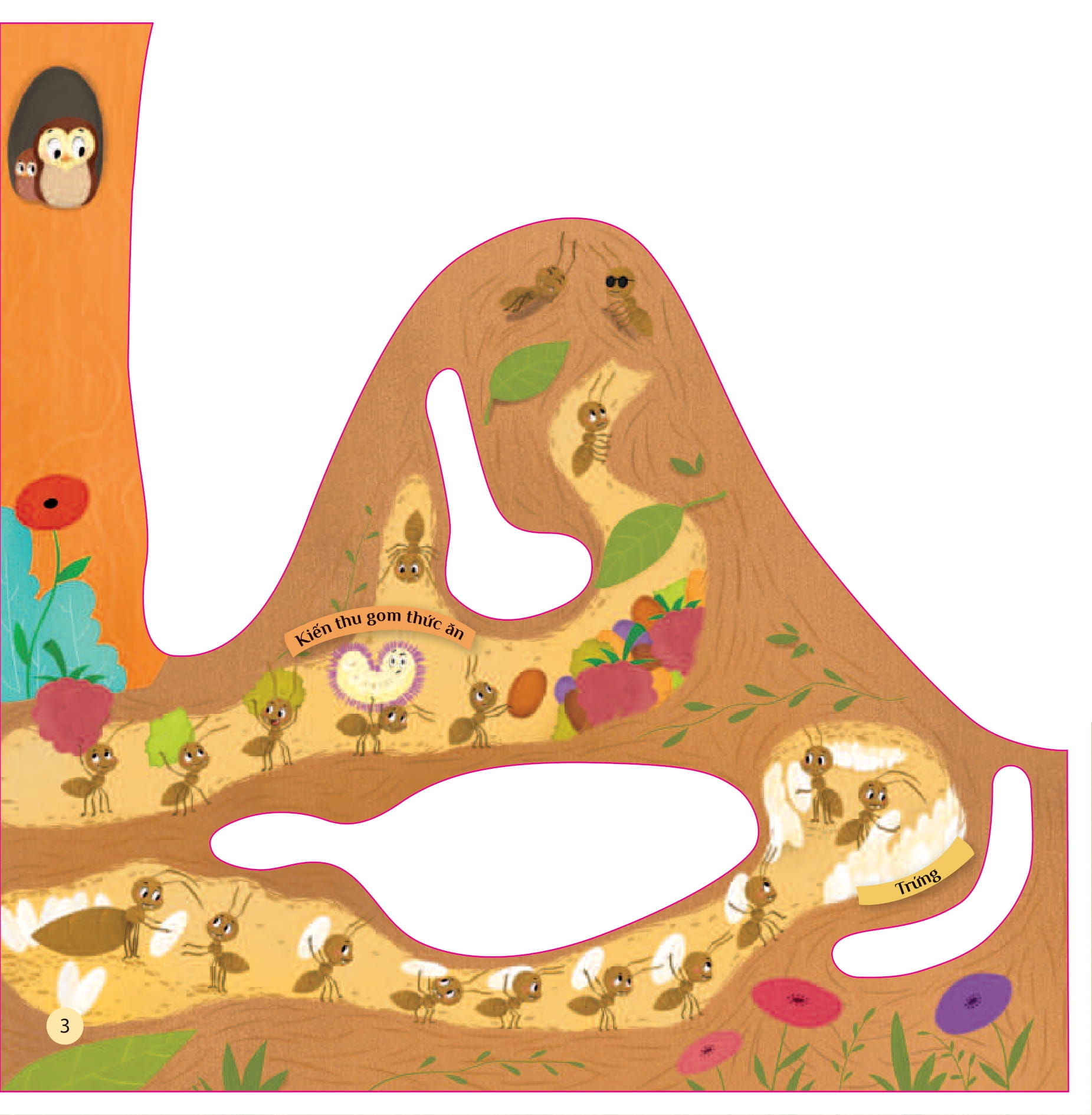 tò mò muốn biết… trong tổ kiến - Ảnh 3