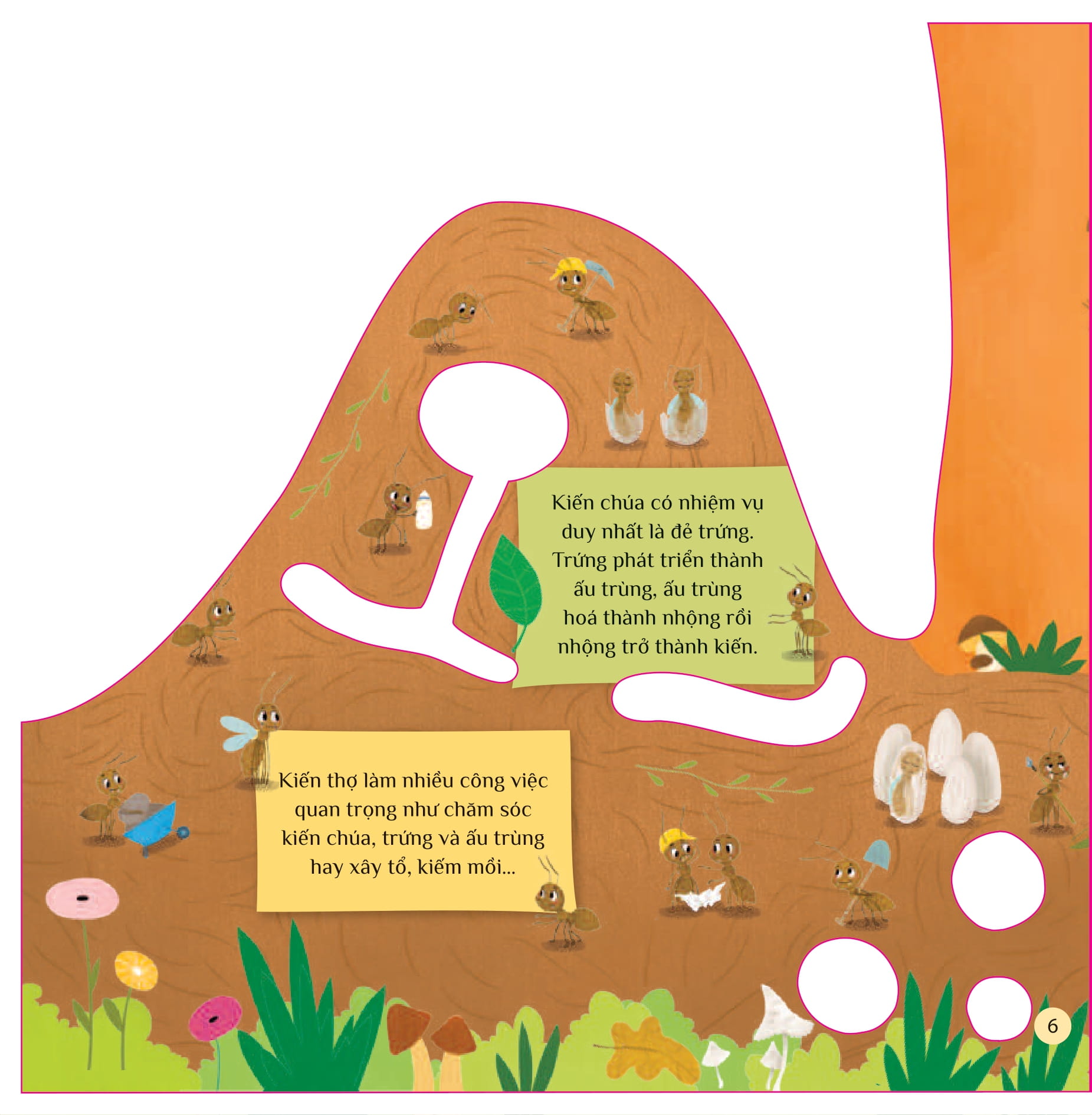 tò mò muốn biết… trong tổ kiến - Ảnh 6