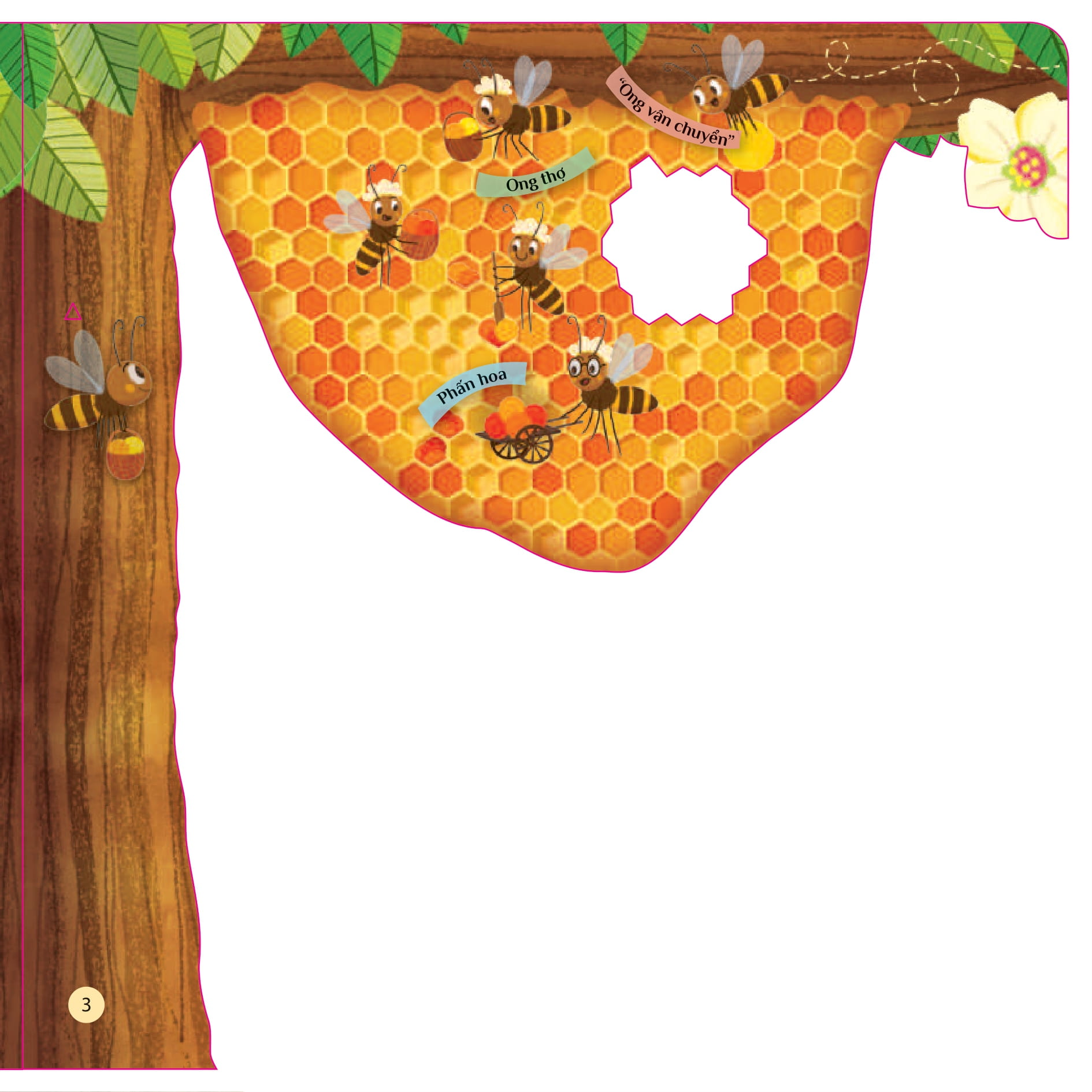 tò mò muốn biết... trong tổ ong - Ảnh 3