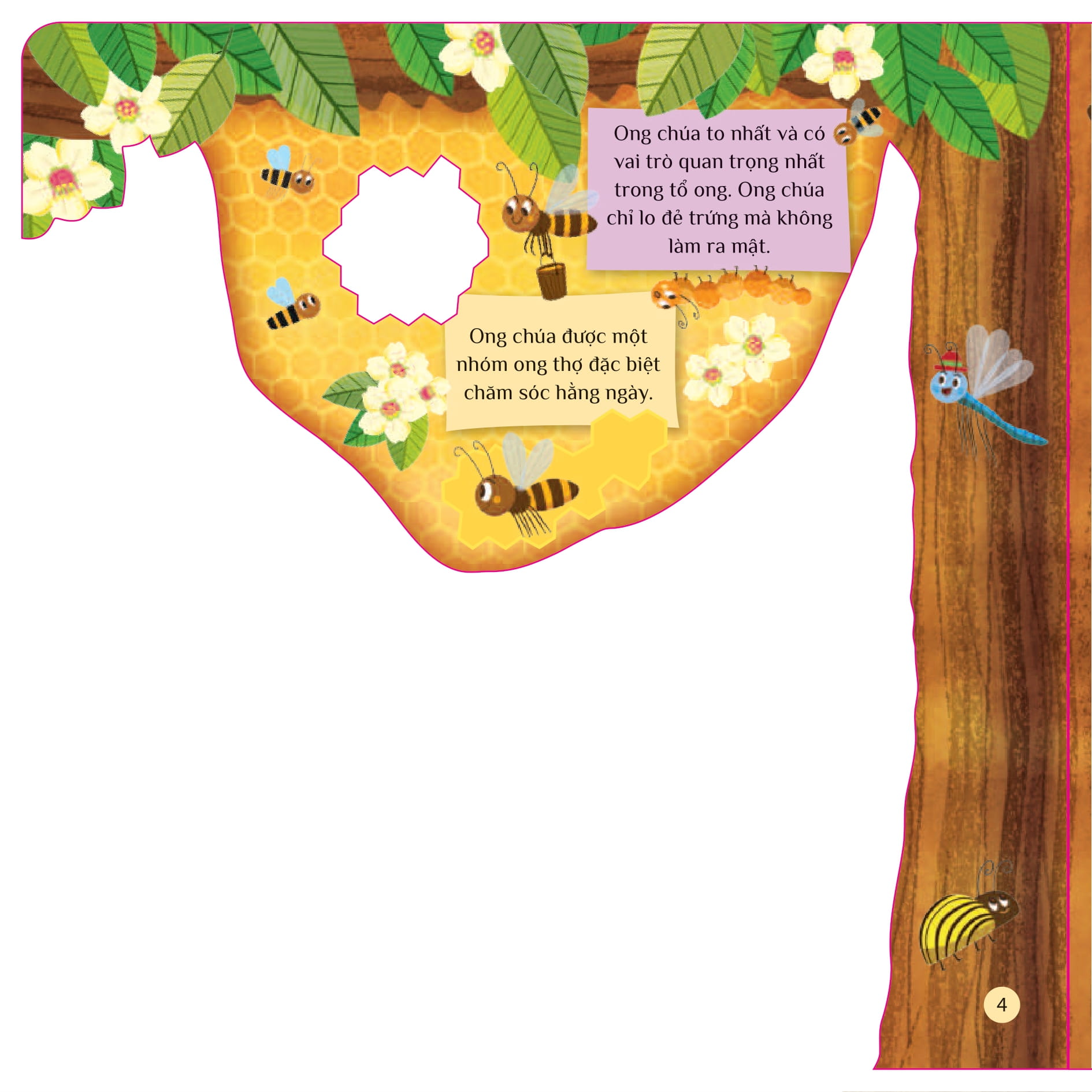 tò mò muốn biết... trong tổ ong - Ảnh 4