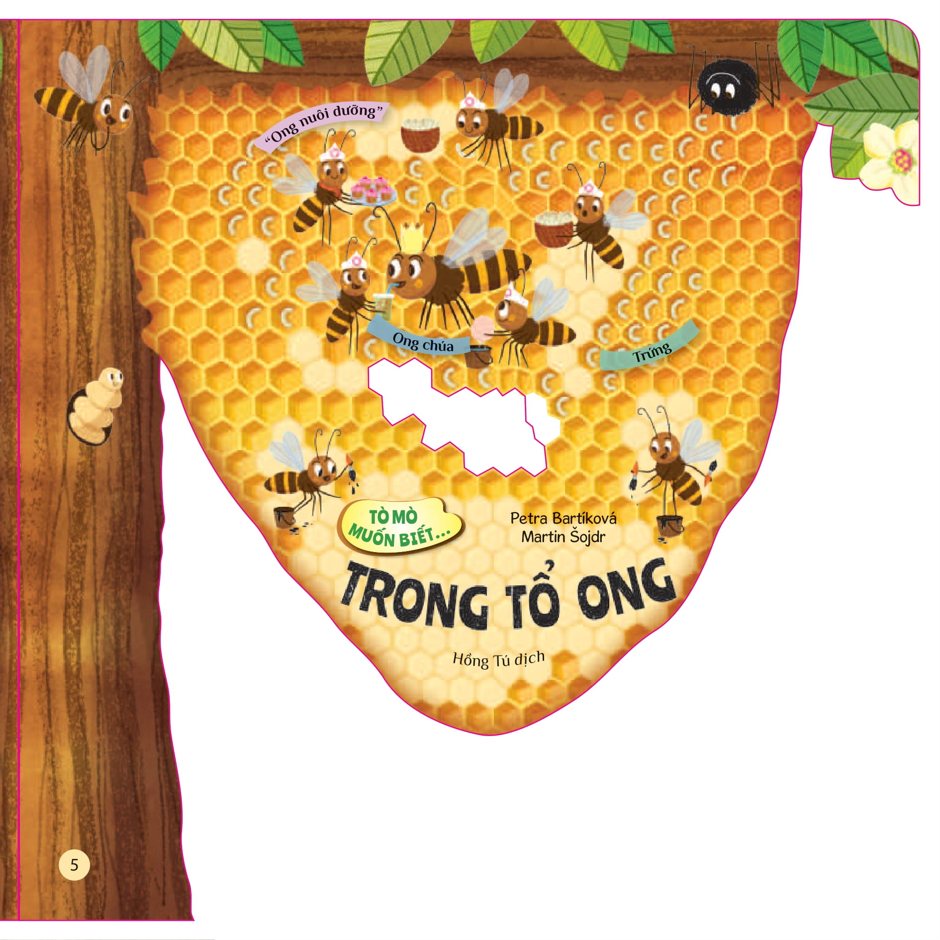 tò mò muốn biết... trong tổ ong - Ảnh 5