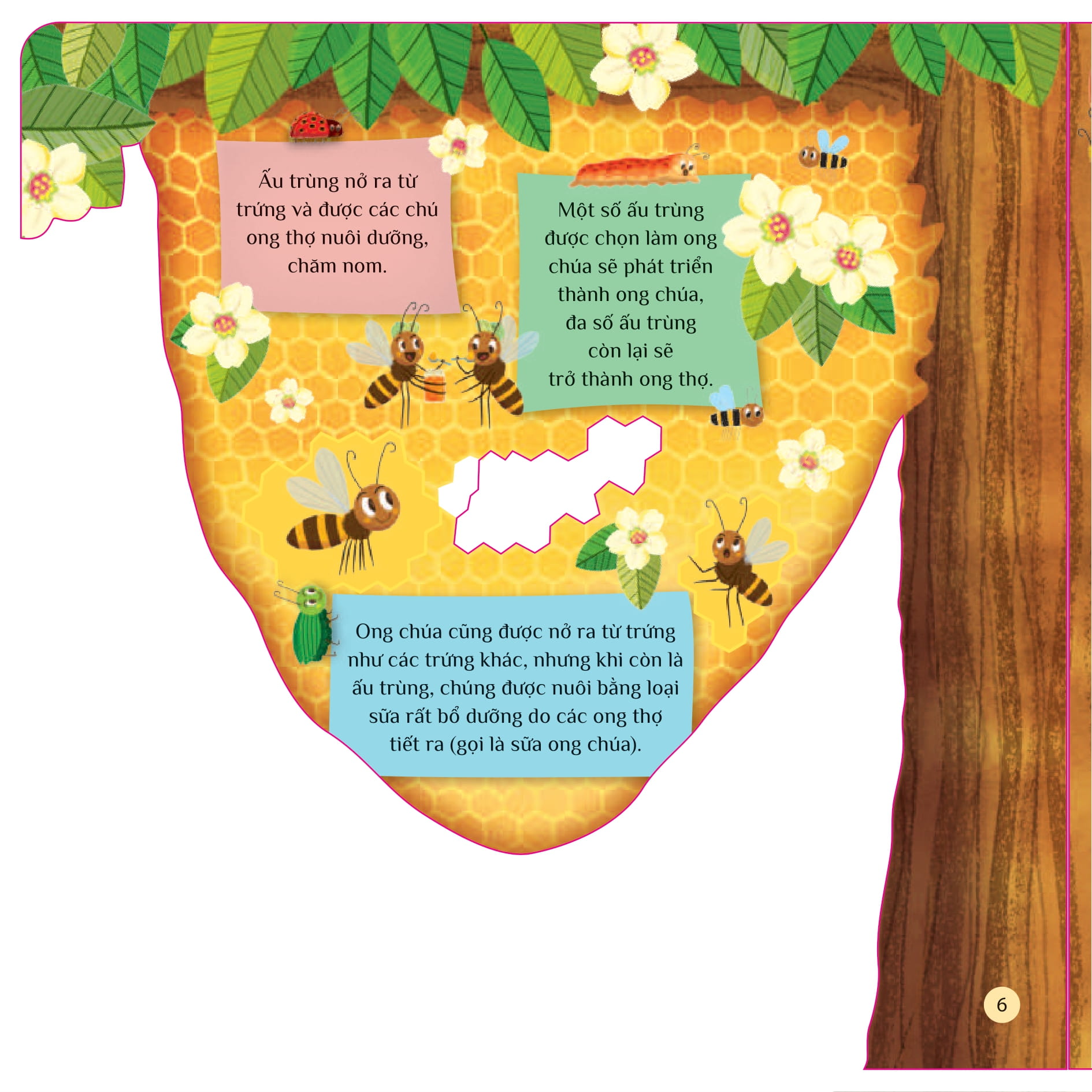 tò mò muốn biết... trong tổ ong - Ảnh 6