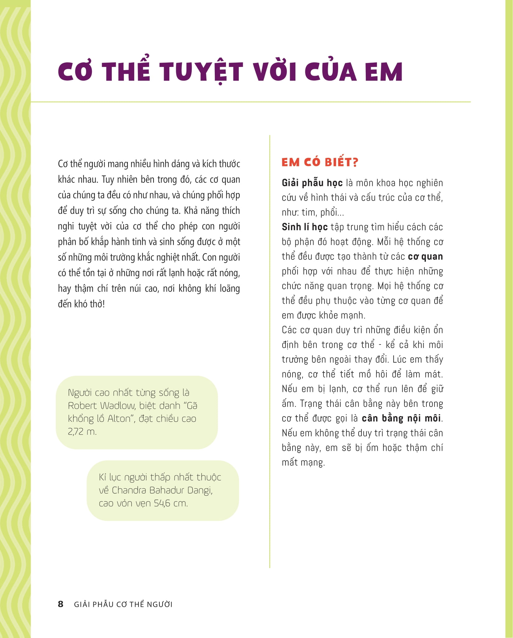 tớ muốn biết tuốt - giải phẫu cơ thể người - Ảnh 2