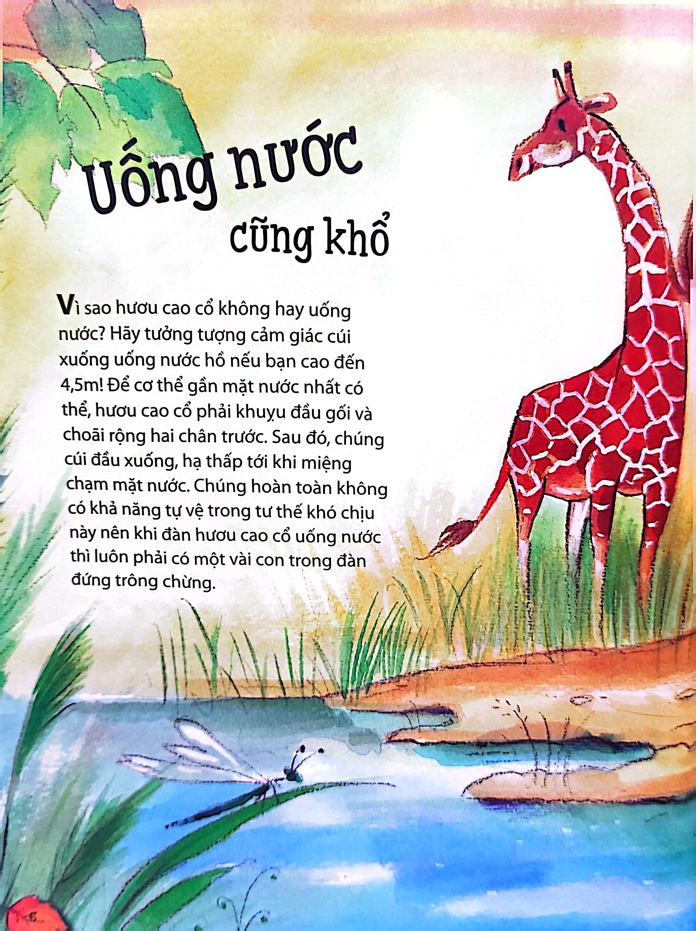 tớ muốn biết tuốt! - những câu chuyện phi thường về động vật! - Ảnh 7