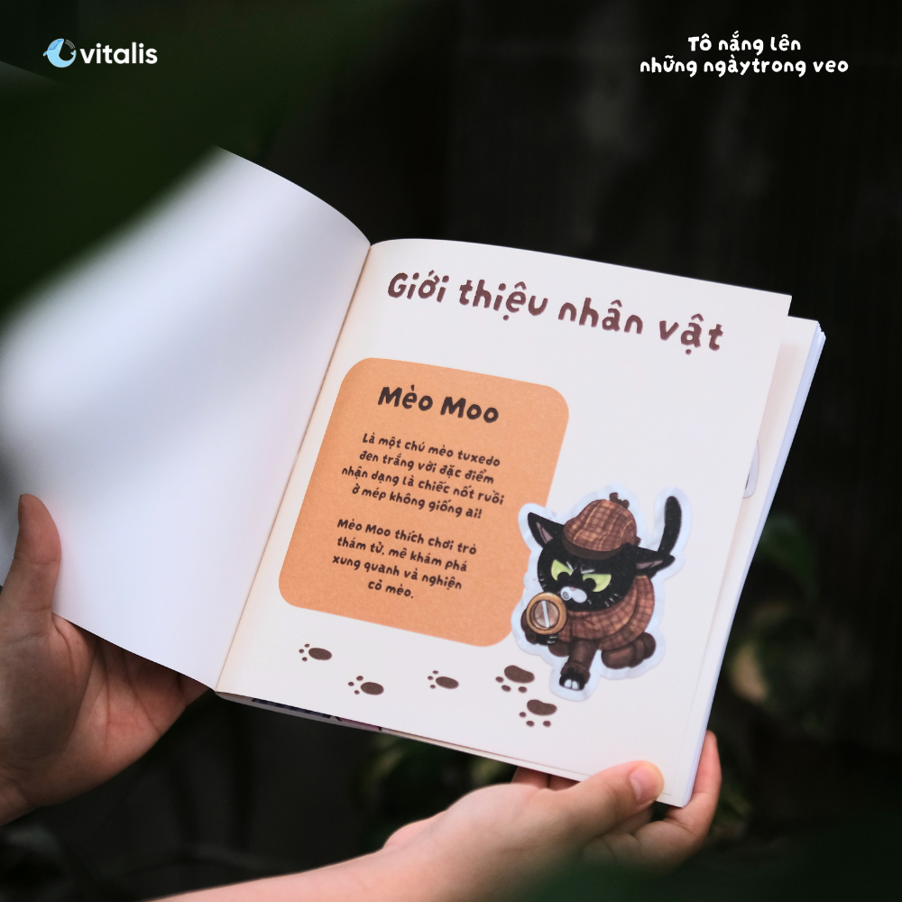 Tô Nắng Lên Những Ngày Trong Veo - Ảnh 7